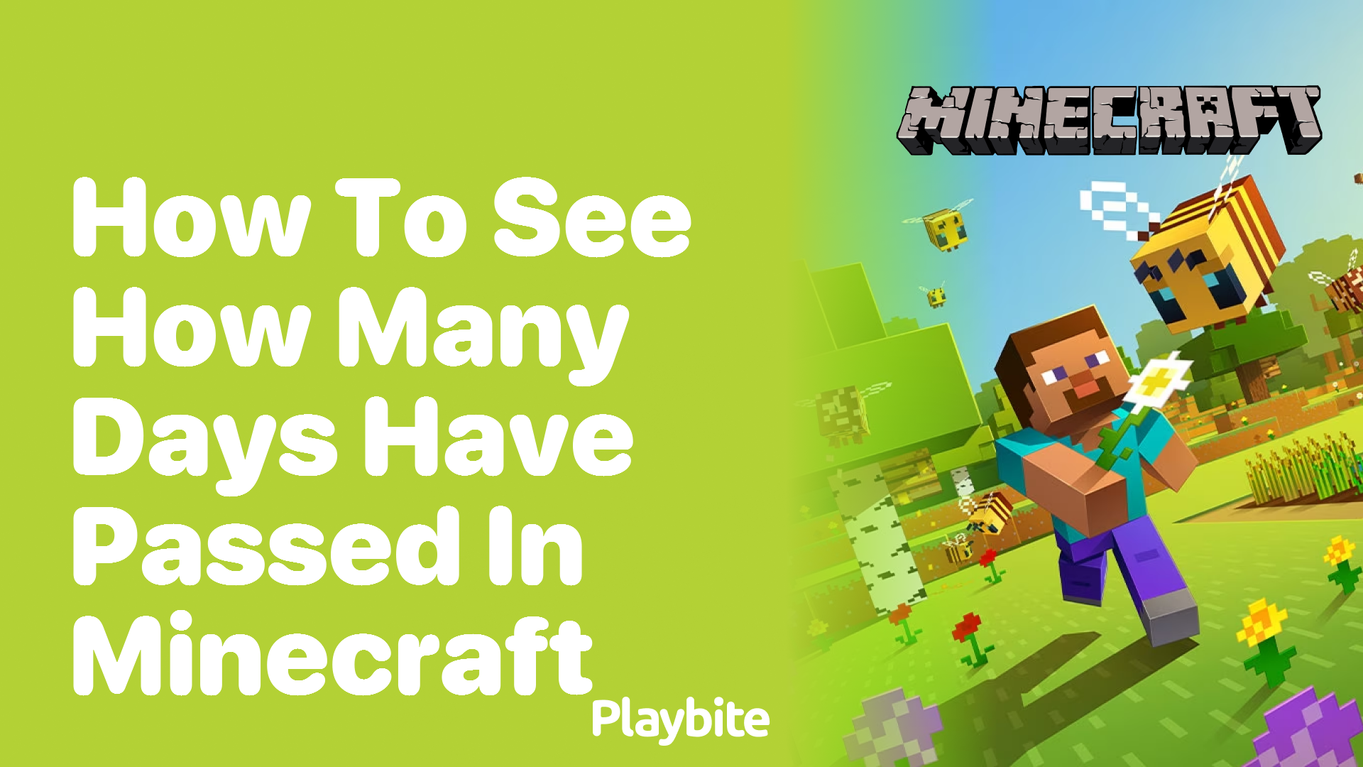 How to See How Many Days Have Passed in Minecraft - Playbite