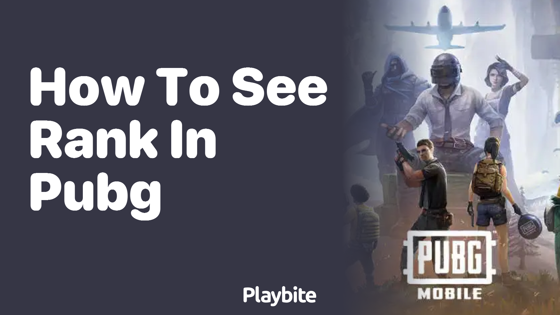 How to See Your Rank in PUBG Mobile