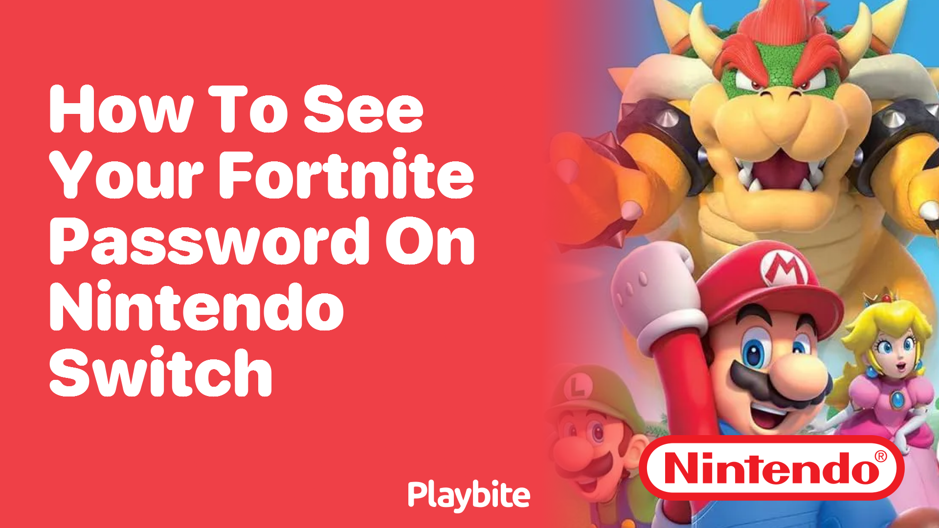 how-to-see-your-fortnite-password-on-nintendo-switch-playbite