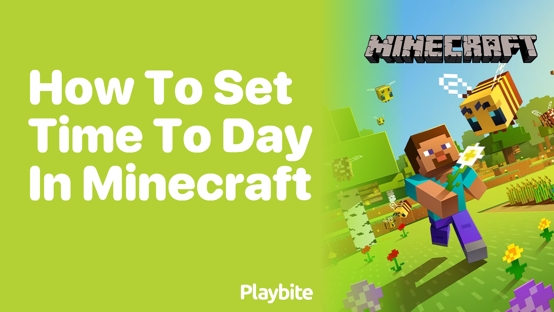 How to Set Time to Day in Minecraft