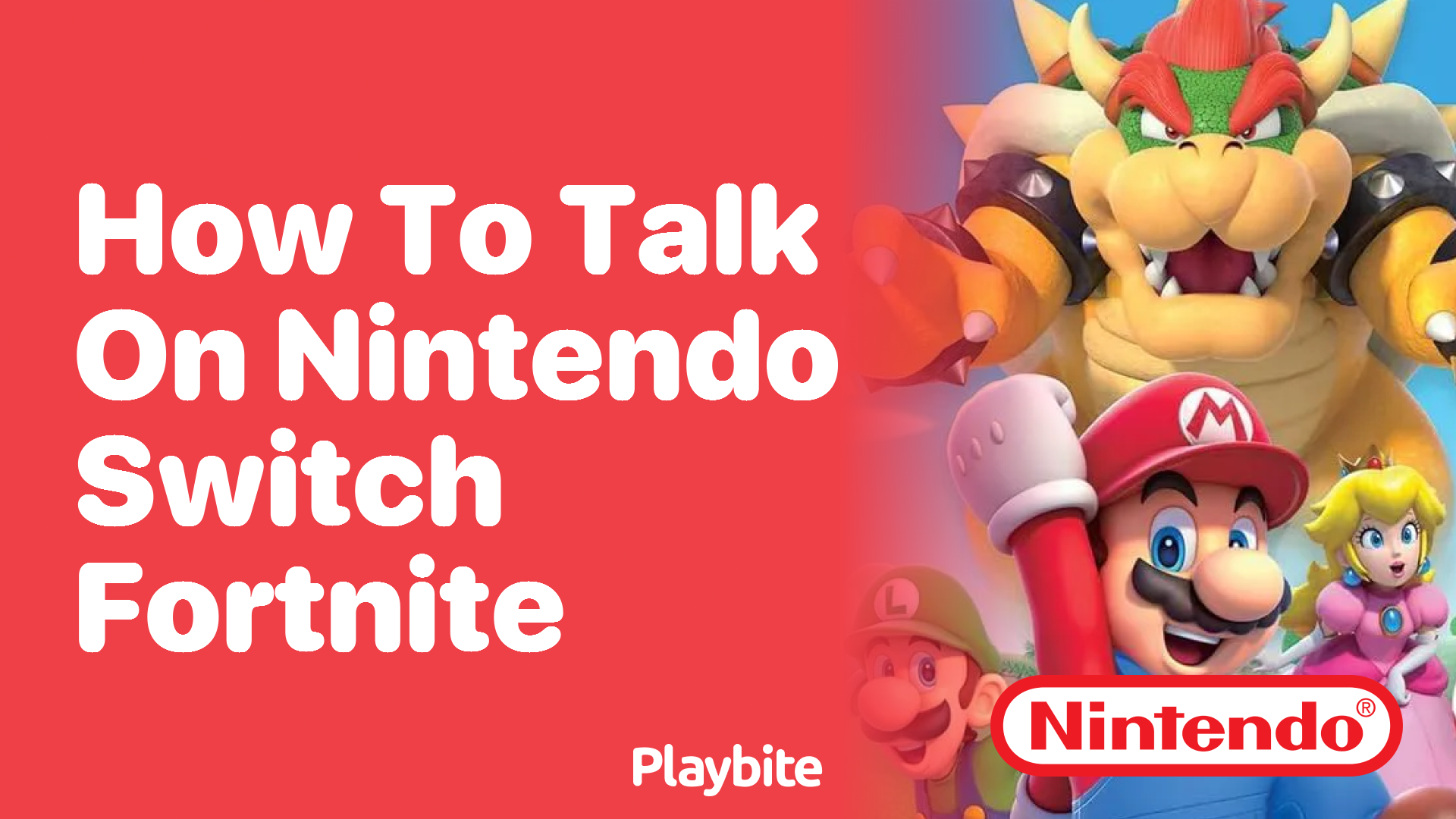 How to Talk on Nintendo Switch Fortnite - Playbite