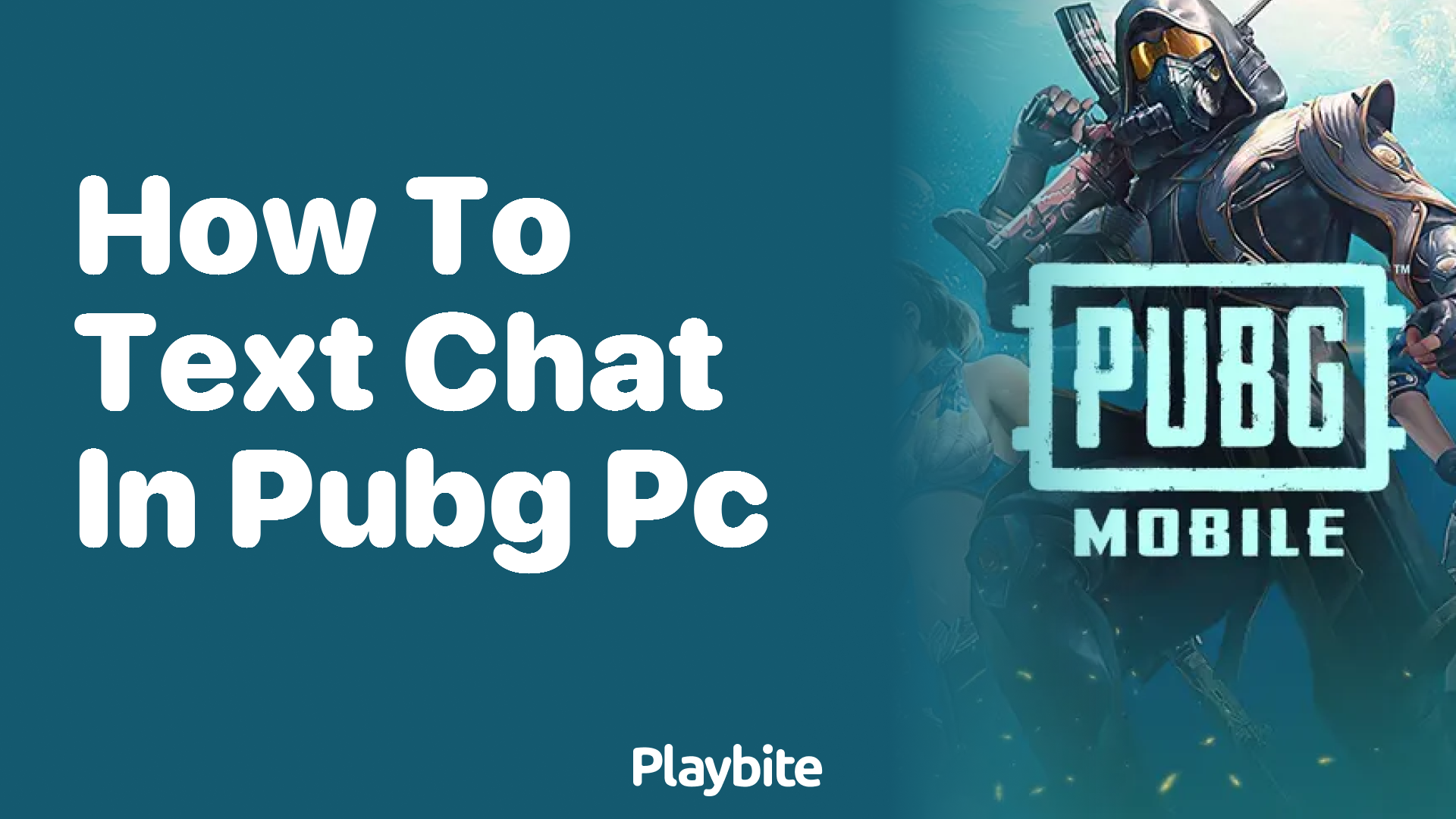 How to Text Chat in PUBG PC A Simple Guide Playbite