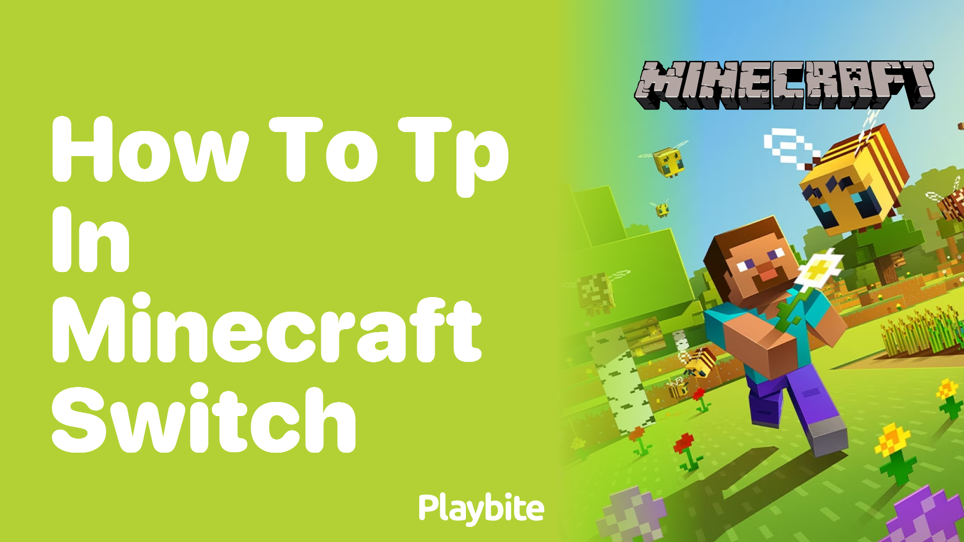 How to TP in Minecraft on the Switch