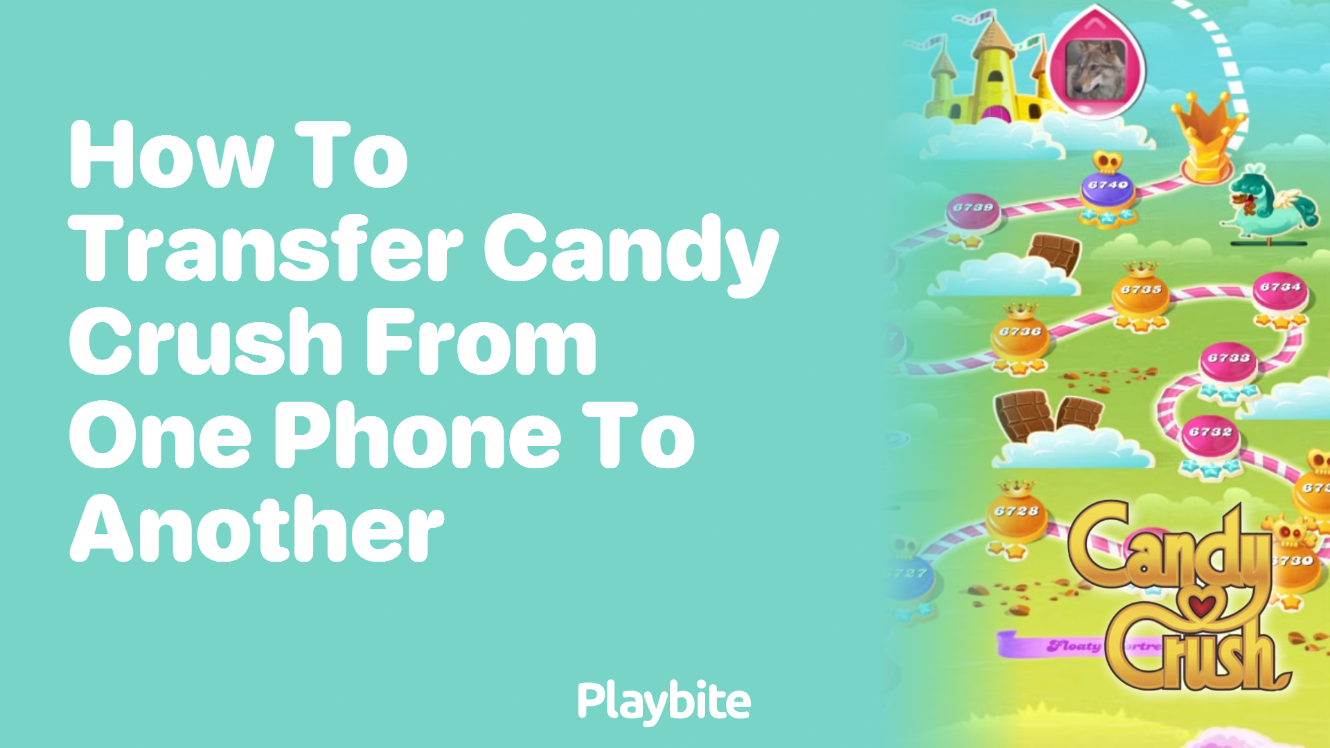 How to Transfer Candy Crush from One Phone to Another: A Simple Guide