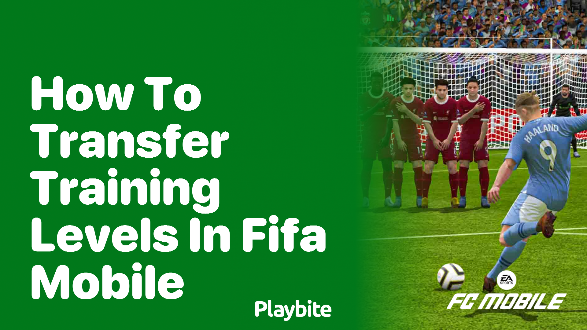 How to Transfer Training Levels in FIFA Mobile