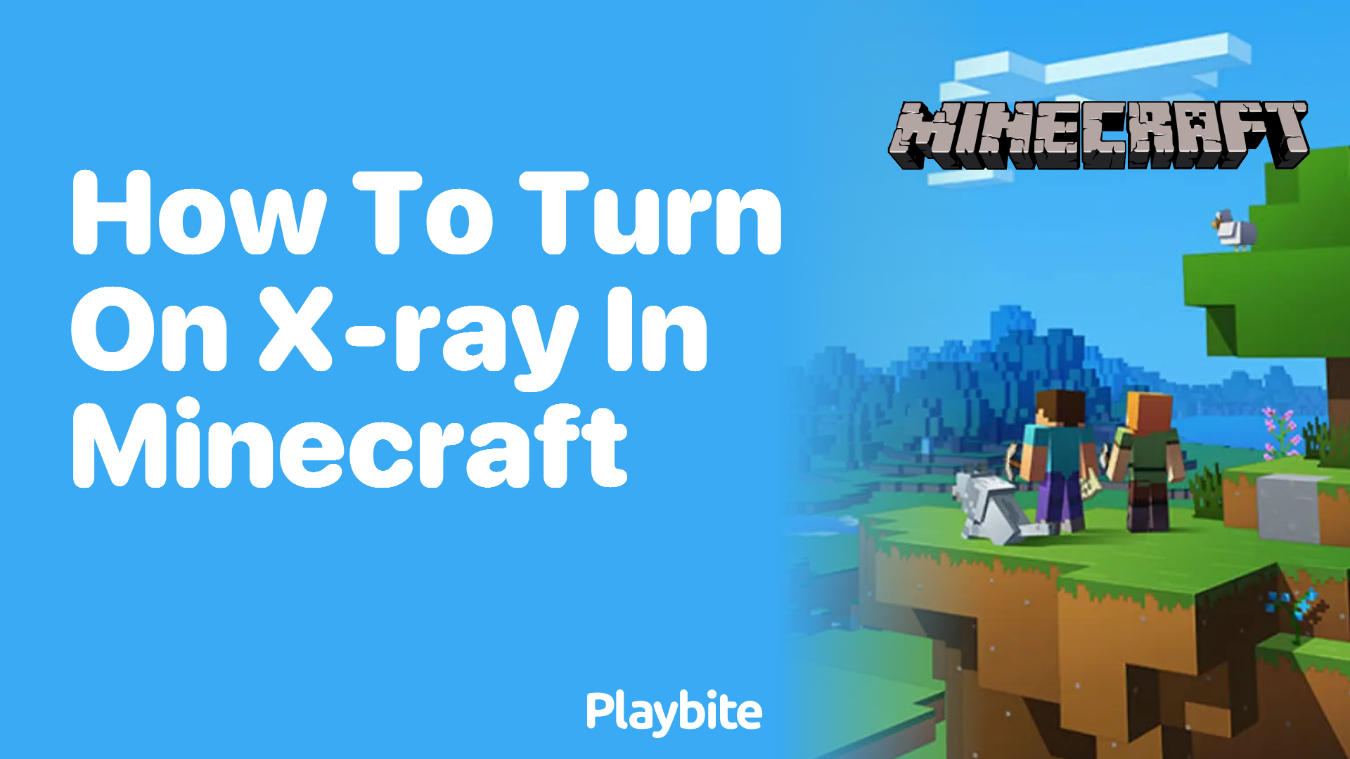 How to Turn On X-Ray in Minecraft: A Simple Guide