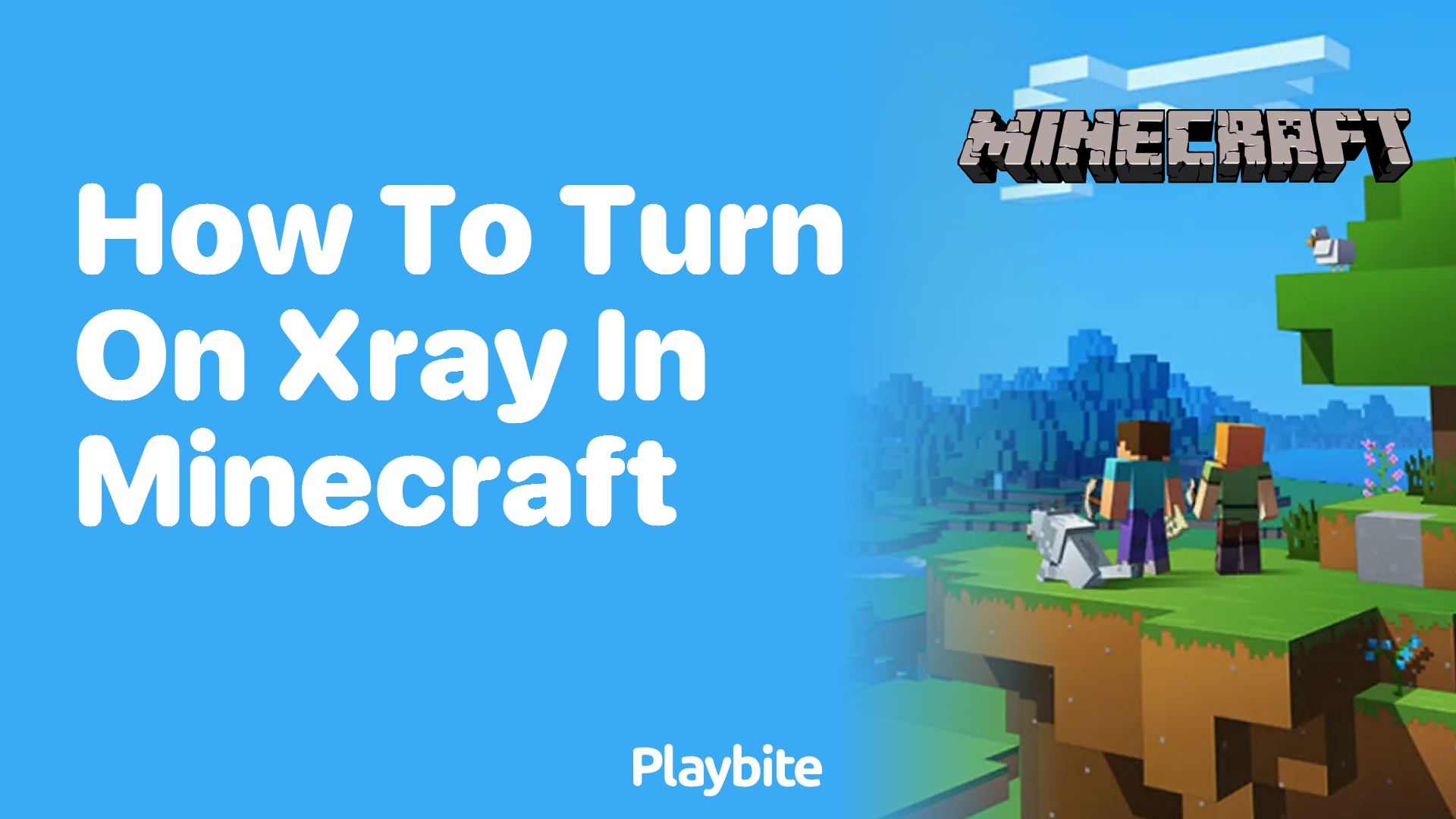 How to Turn on Xray in Minecraft: A Simple Guide