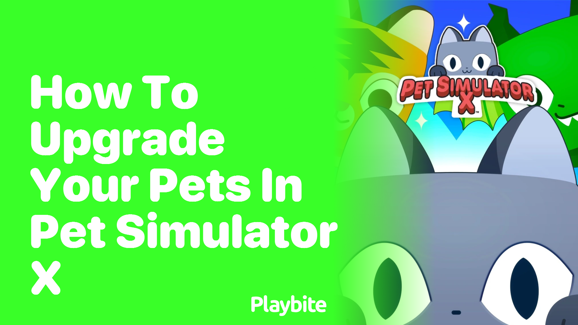 How to Upgrade Your Pets in Pet Simulator X