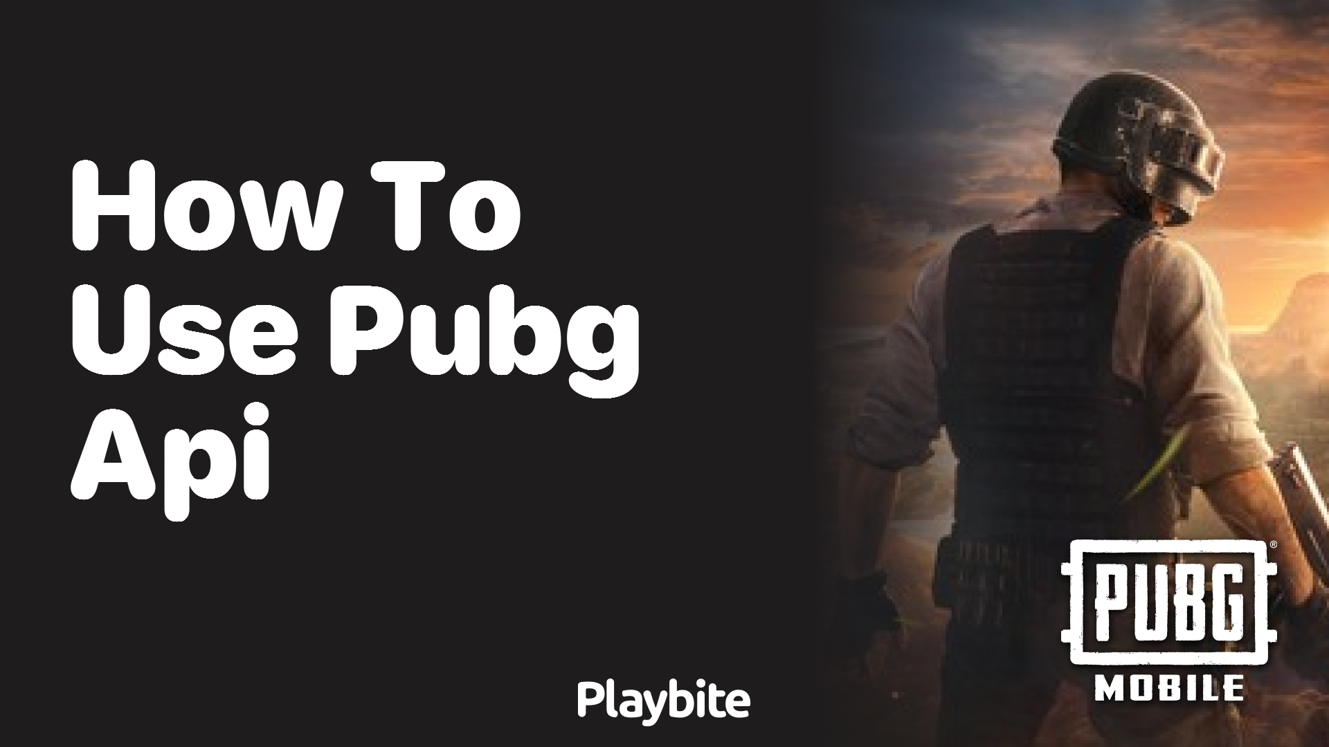 How to Use the PUBG API for Dynamic Gaming Insights