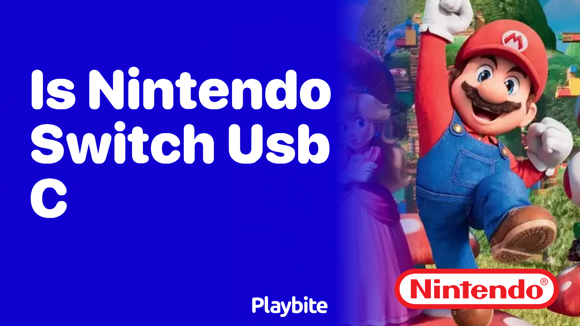 Is the Nintendo Switch USB-C Compatible? - Playbite