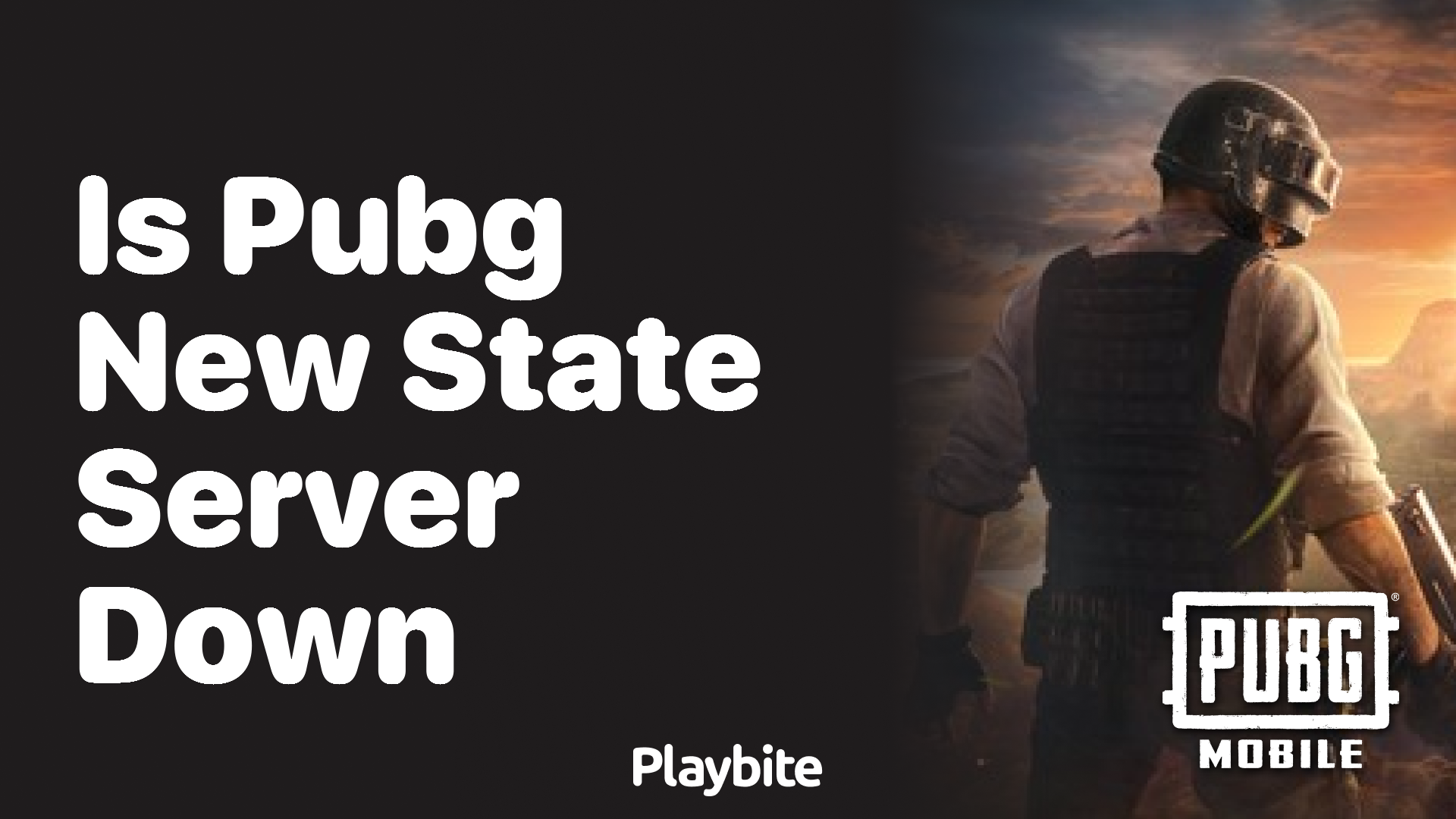 Is PUBG New State Server Down? Learn Here!