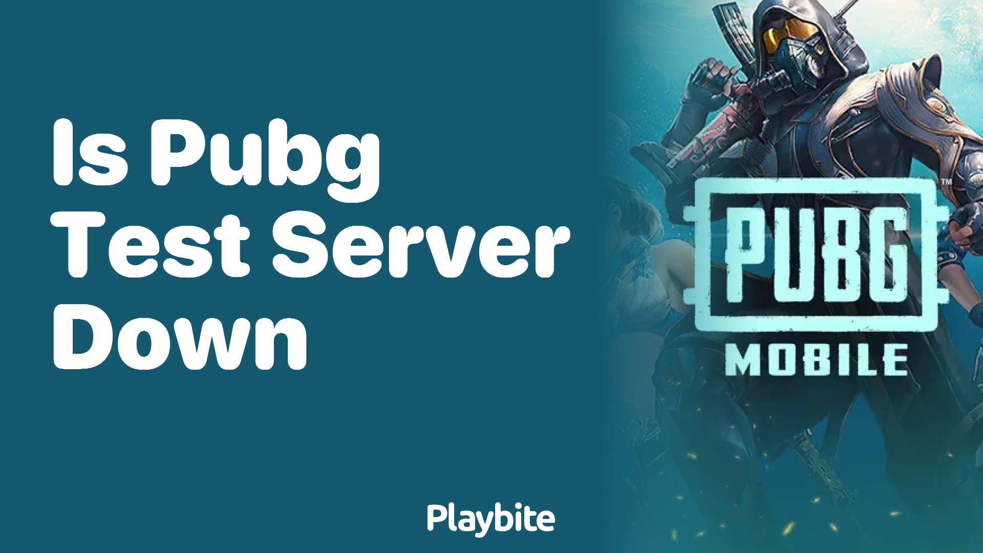 Is the PUBG Test Server Down? Here&#8217;s What You Need to Know