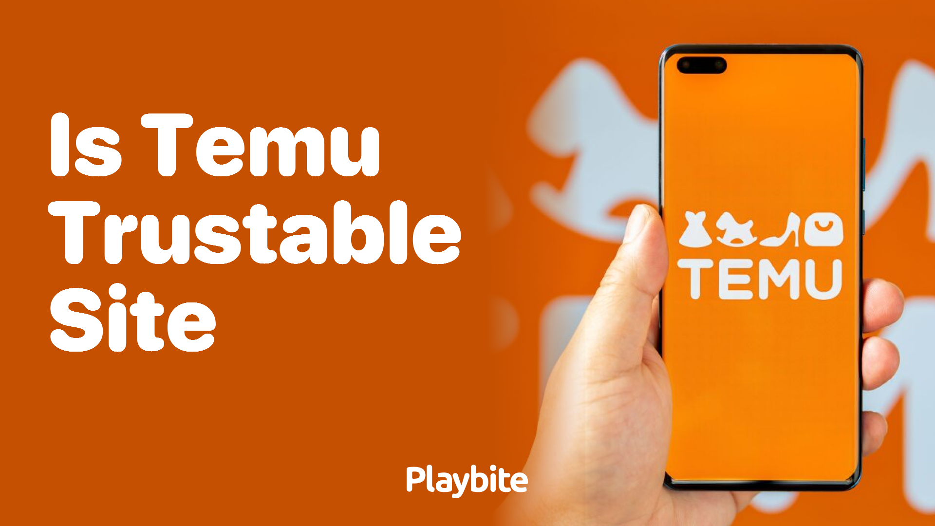 Is Temu a Trustable Site? Let&#8217;s Dive In!