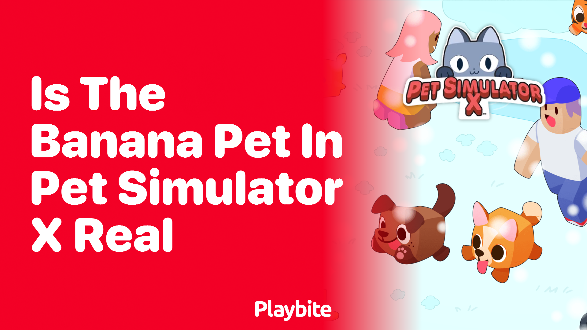 Is the Banana Pet in Pet Simulator X real?