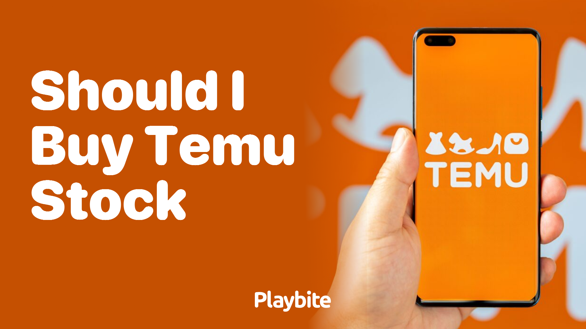 Should I Buy Temu Stock? A Quick Guide for the Curious Shopper