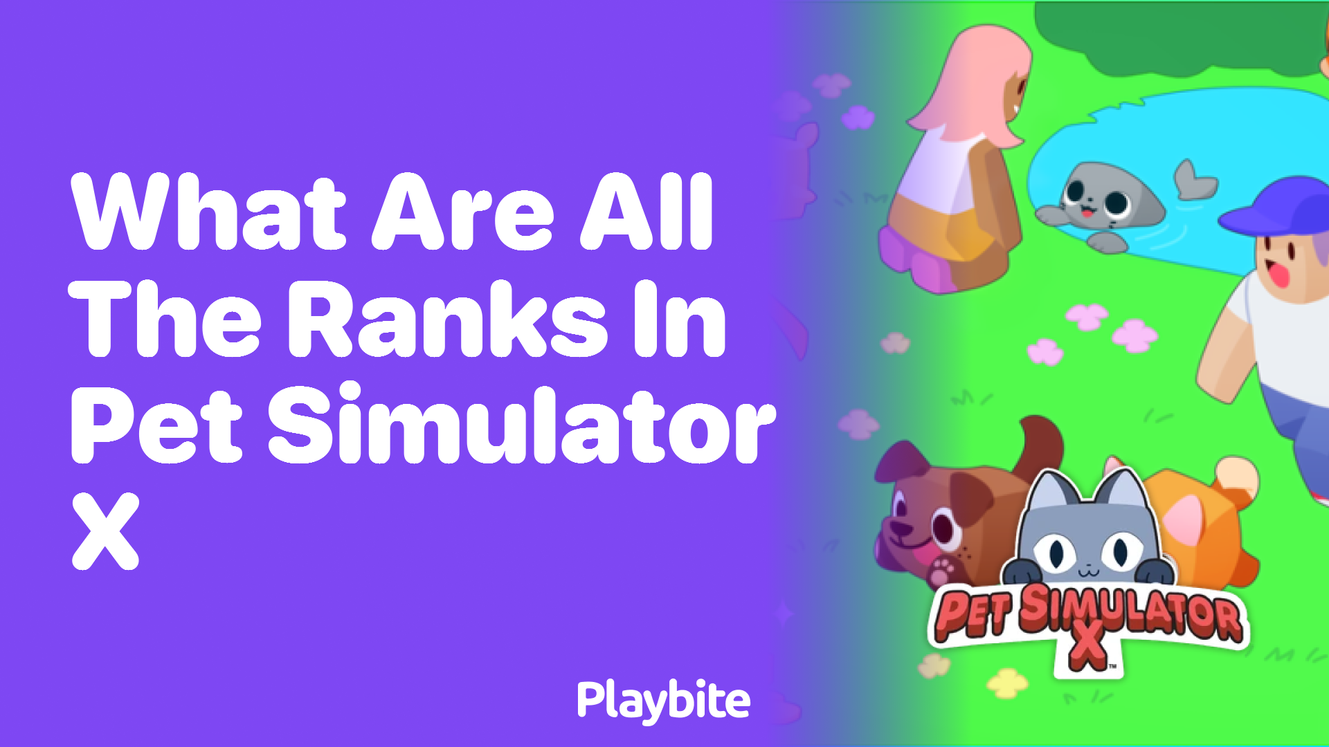 Discover Every Rank in Pet Simulator X