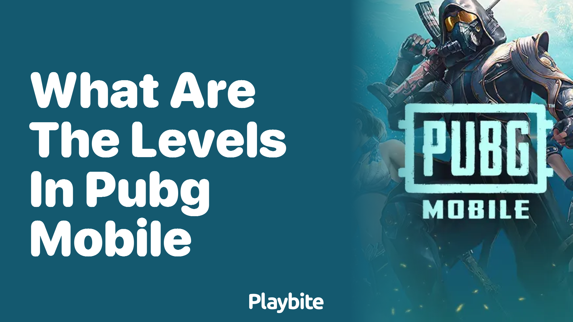 What Are the Levels in PUBG Mobile?