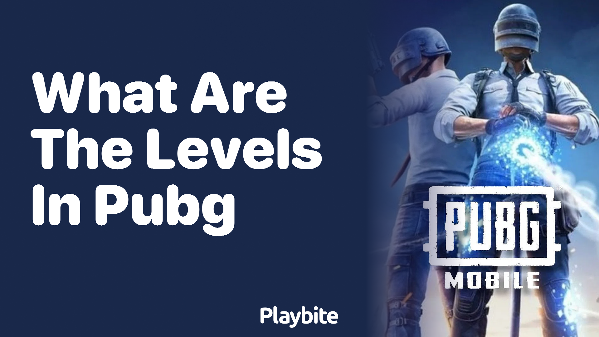 What Are the Levels in PUBG Mobile?