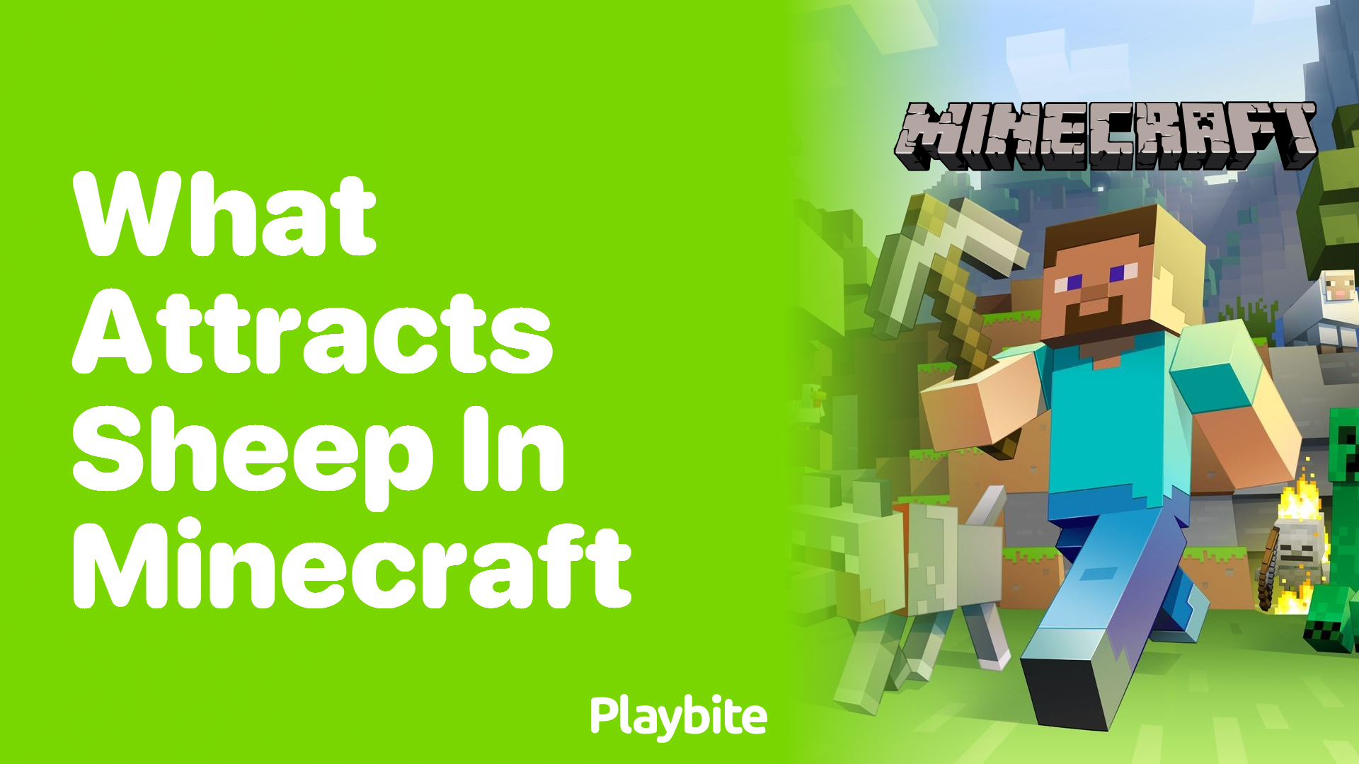 What Attracts Sheep in Minecraft? Discover the Secrets!