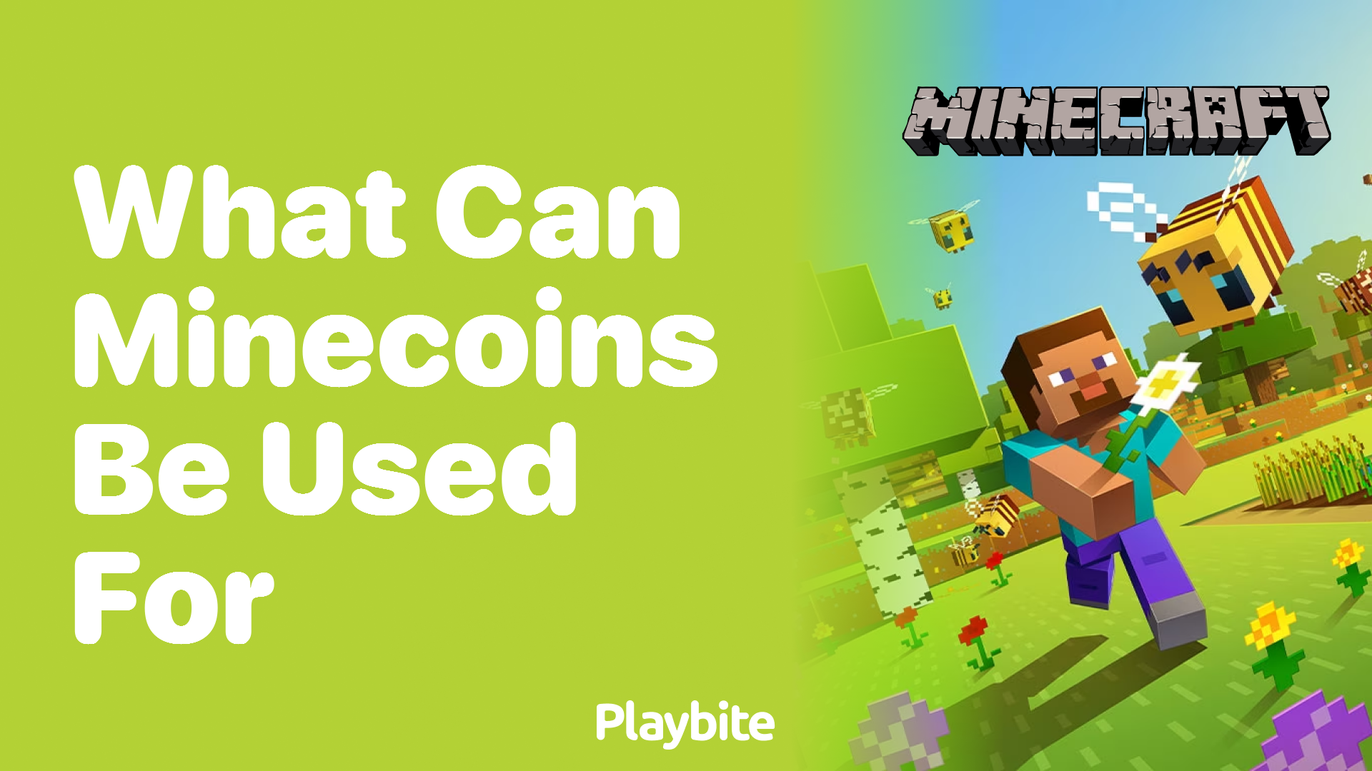 What Can Minecoins Be Used For? Your Ultimate Guide