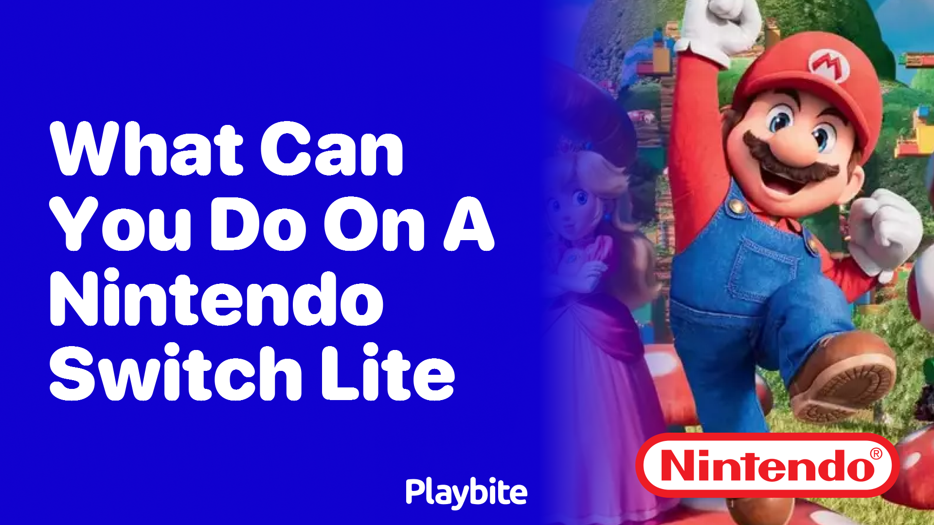 What can you do on a nintendo switch store lite