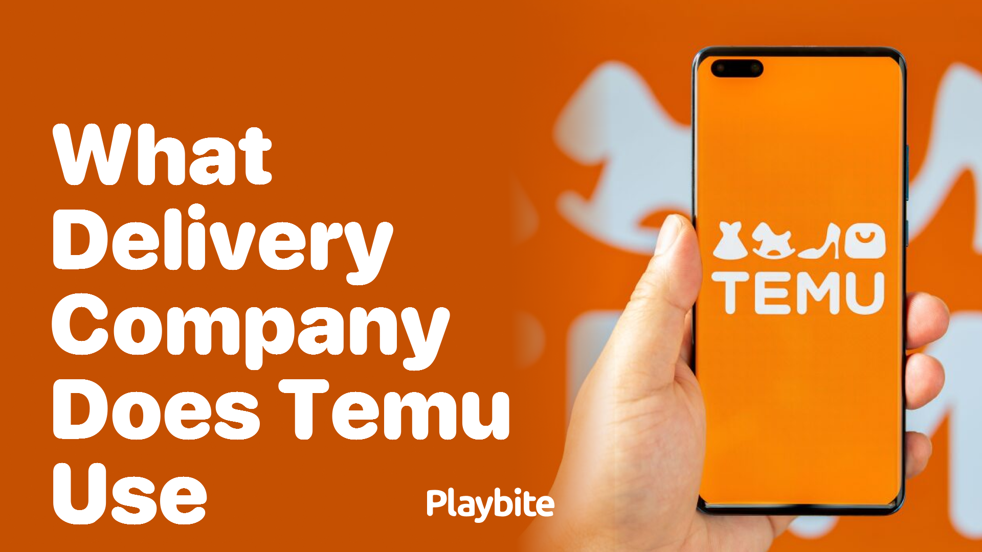 What Delivery Company Does Temu Use?