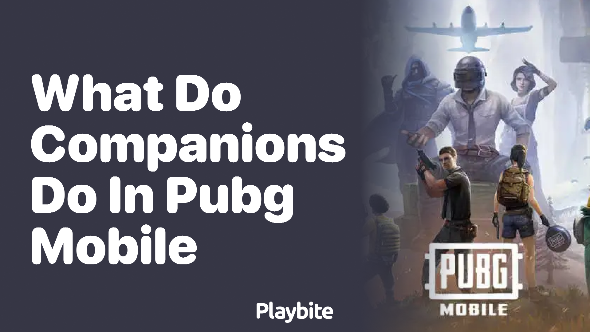 What Do Companions Do in PUBG Mobile? Let&#8217;s Find Out!