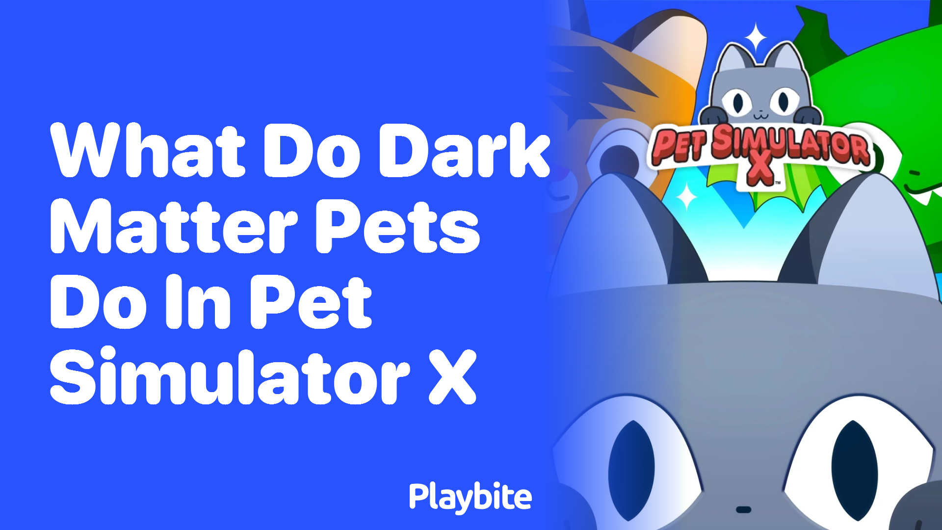 What Do Dark Matter Pets Do in Pet Simulator X?