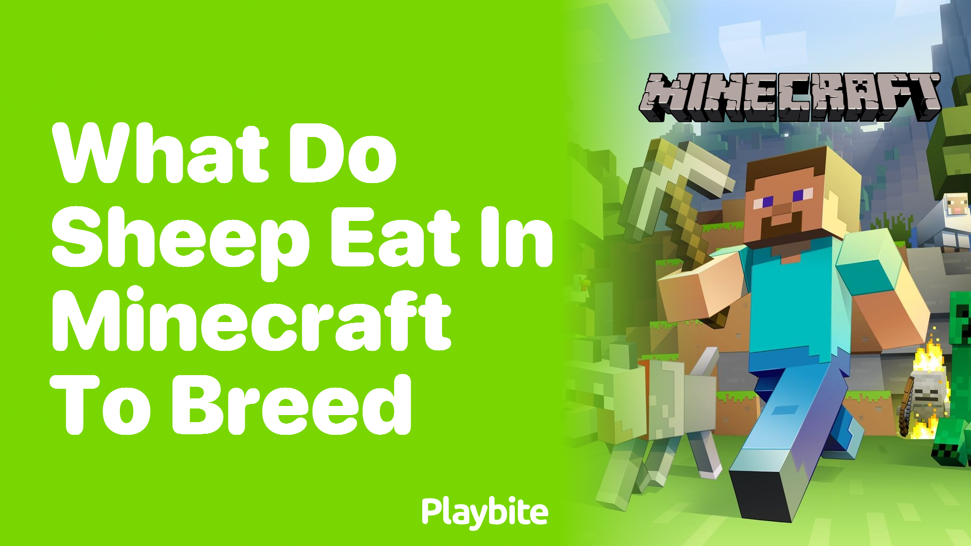 What Do Sheep Eat In Minecraft To Breed Playbite 4780