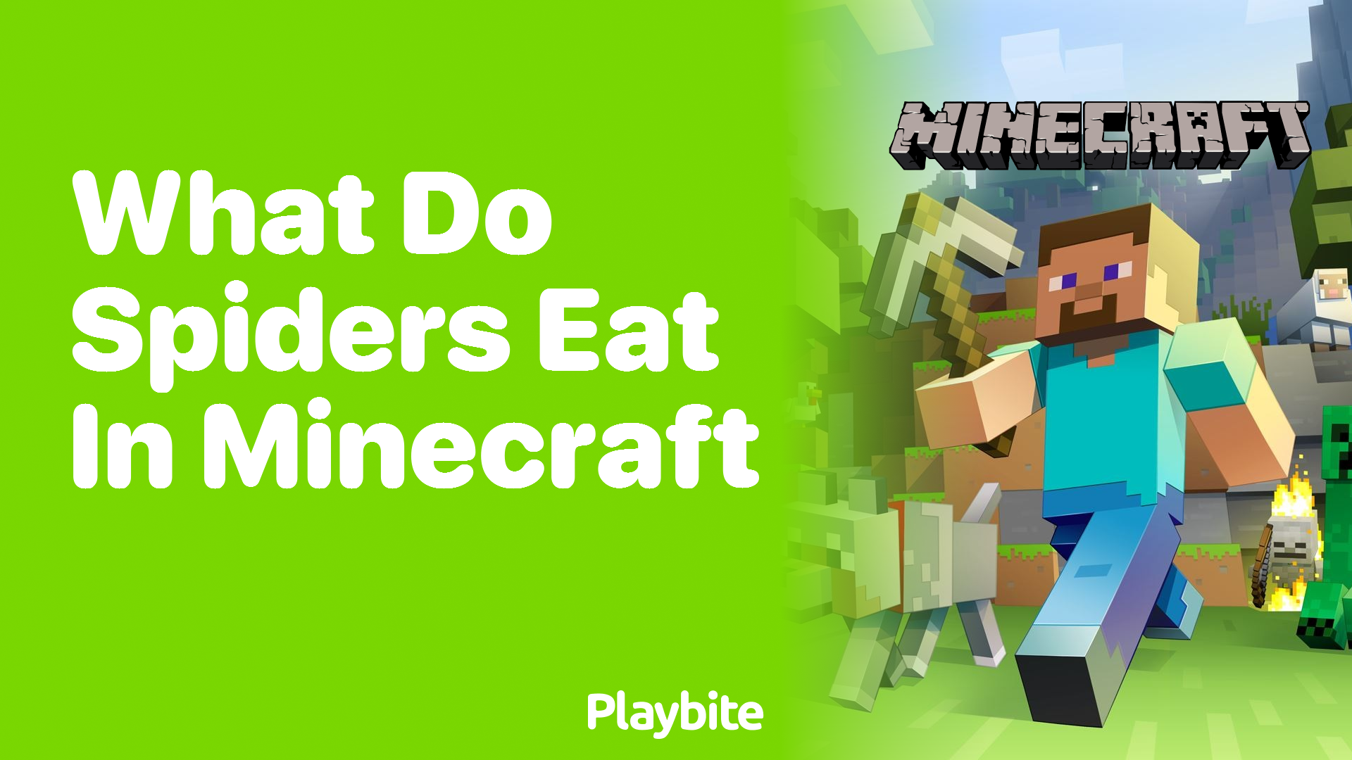 What Do Spiders Eat in Minecraft?