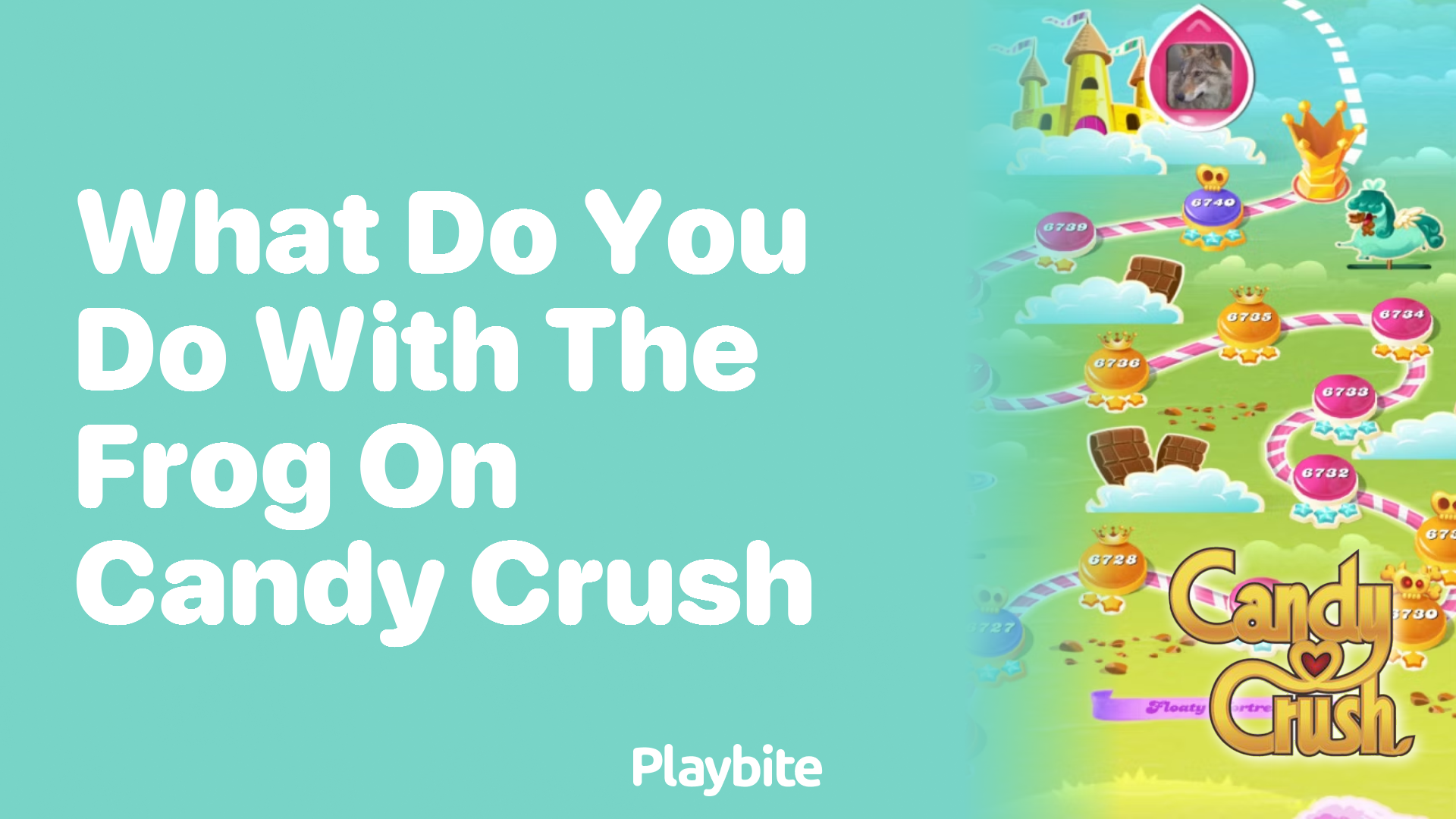 What Do You Do With the Frog in Candy Crush?