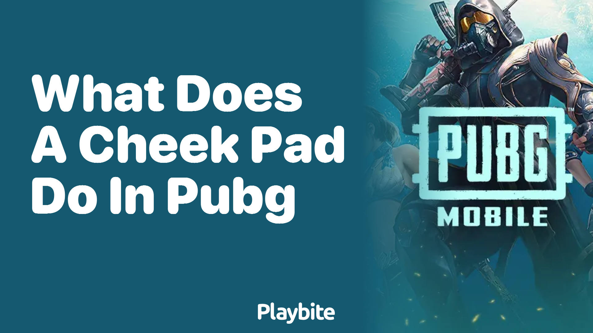 What Does a Cheek Pad Do in PUBG Mobile?