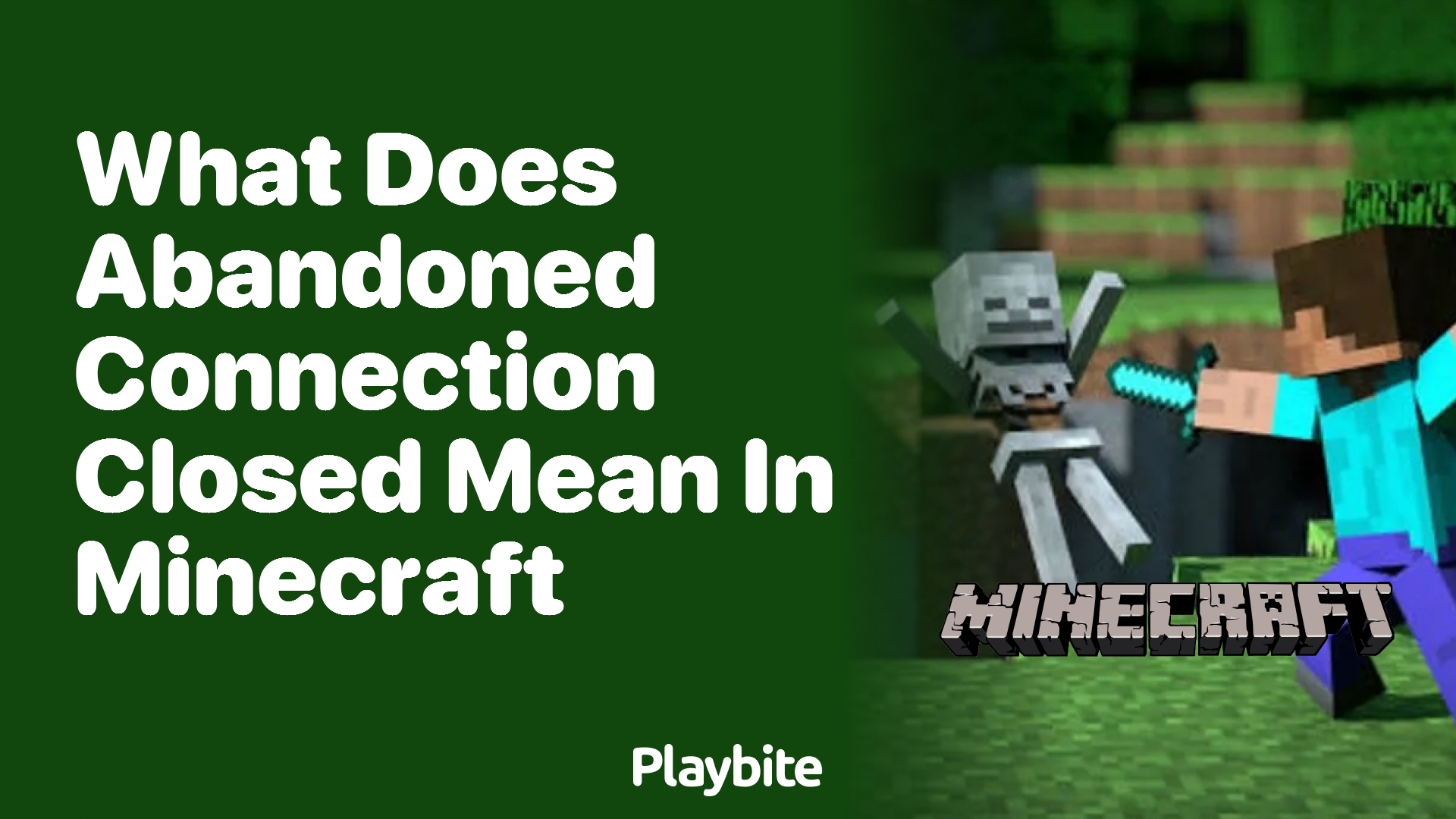 What Does Abandoned Connection Closed Mean in Minecraft Playbite