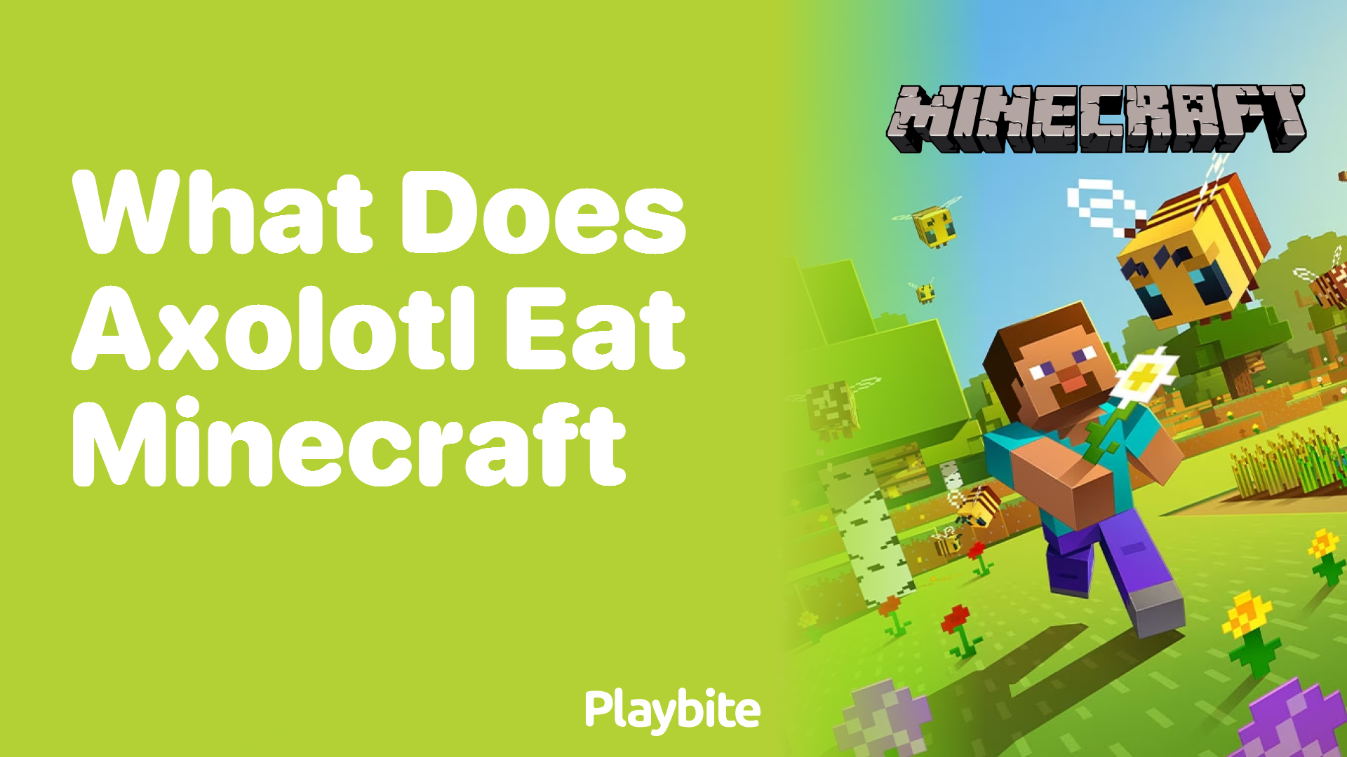 What Does an Axolotl Eat in Minecraft?