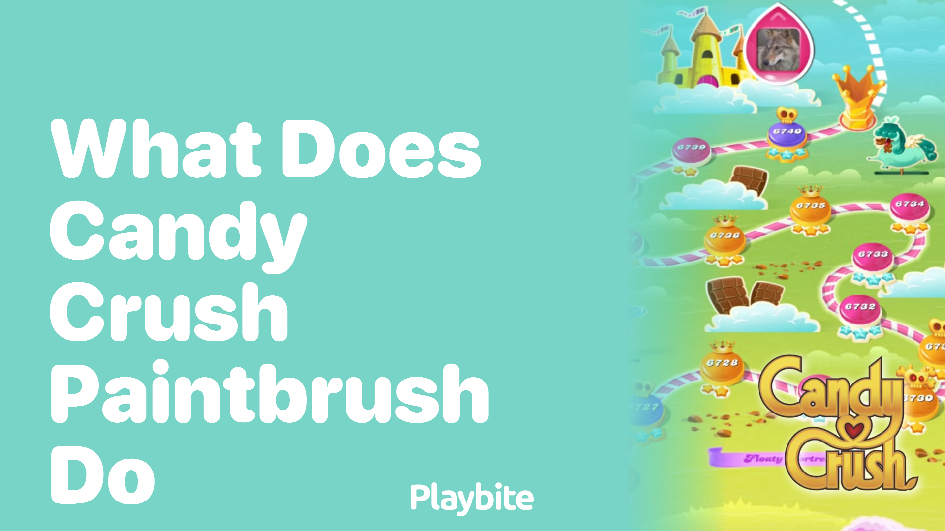 What Does the Candy Crush Paintbrush Do?