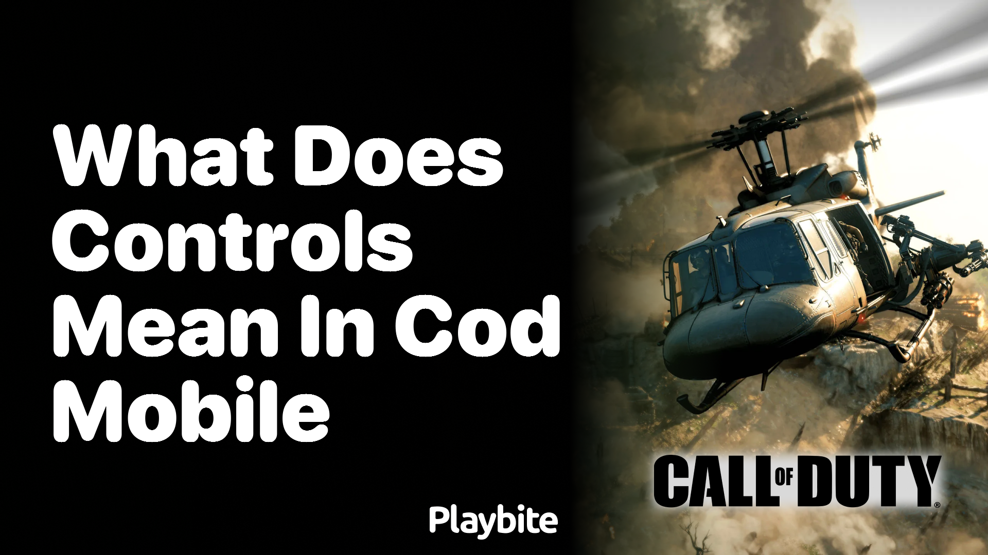 What Does &#8216;Controls&#8217; Mean in COD Mobile?