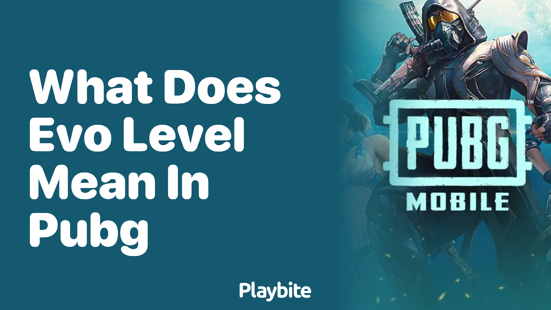 What Does Evo Level Mean in PUBG Mobile? Unlocking the Mystery!