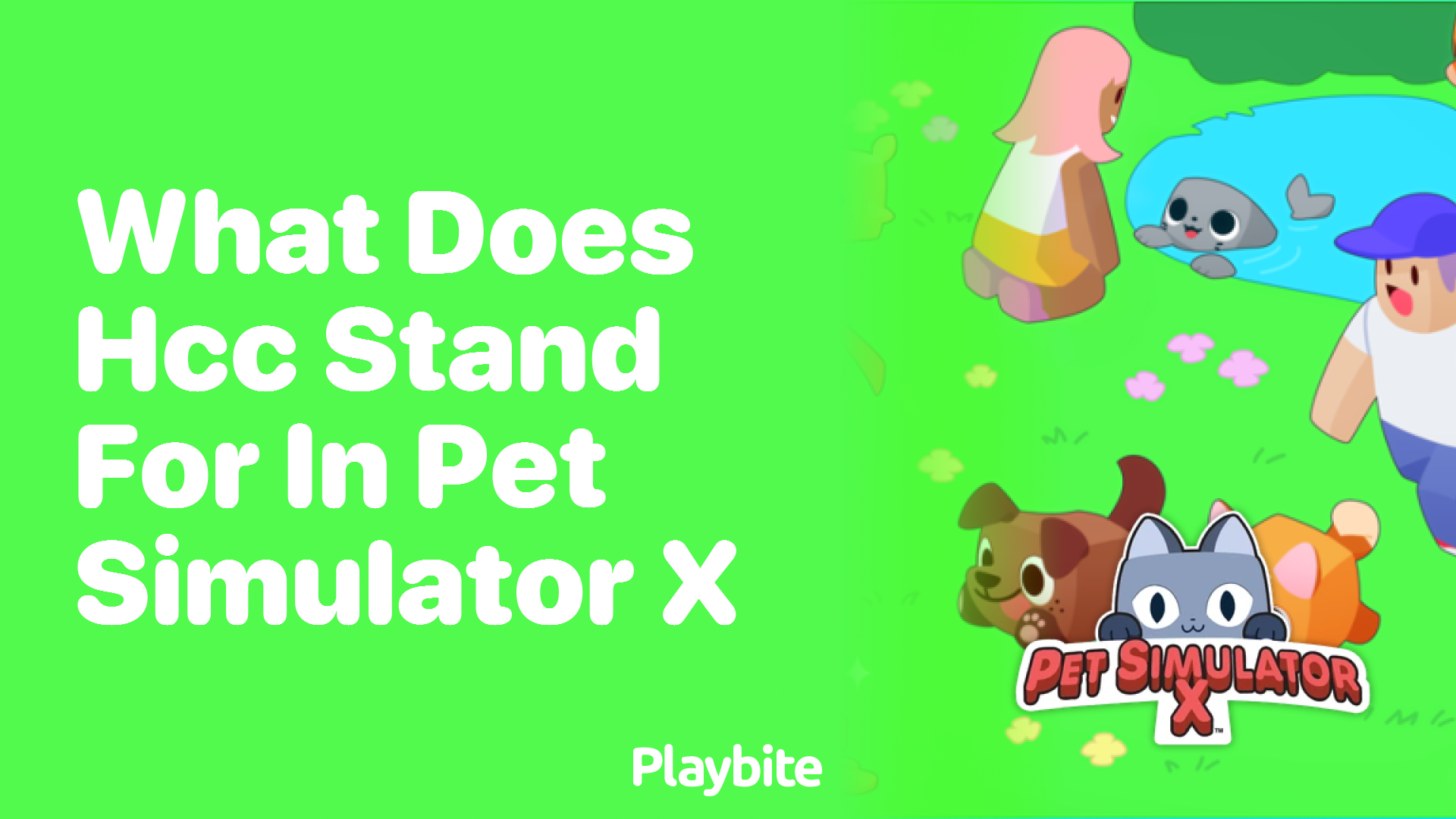 What does HCC stand for in Pet Simulator X?