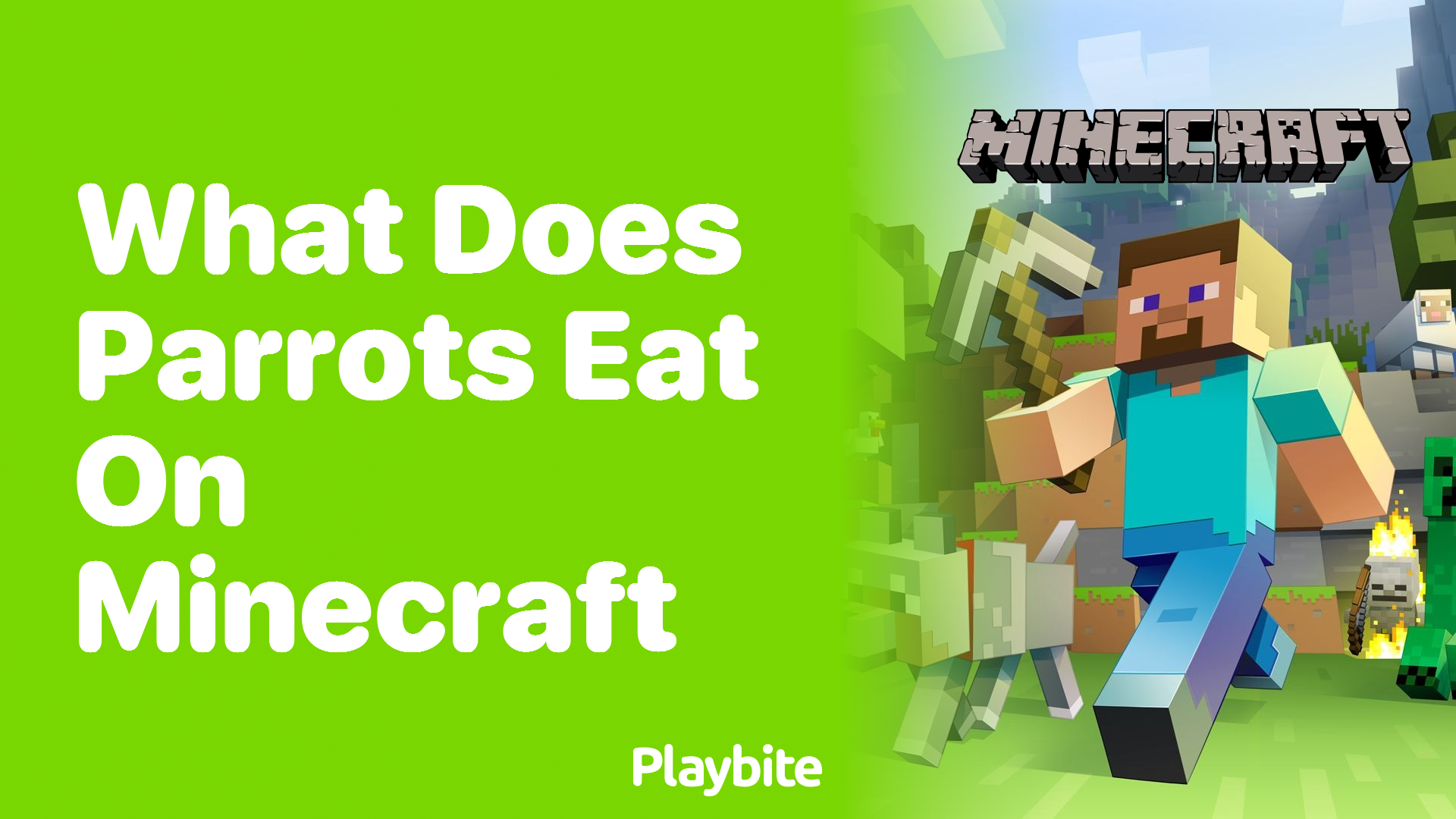 What Do Parrots Eat in Minecraft?