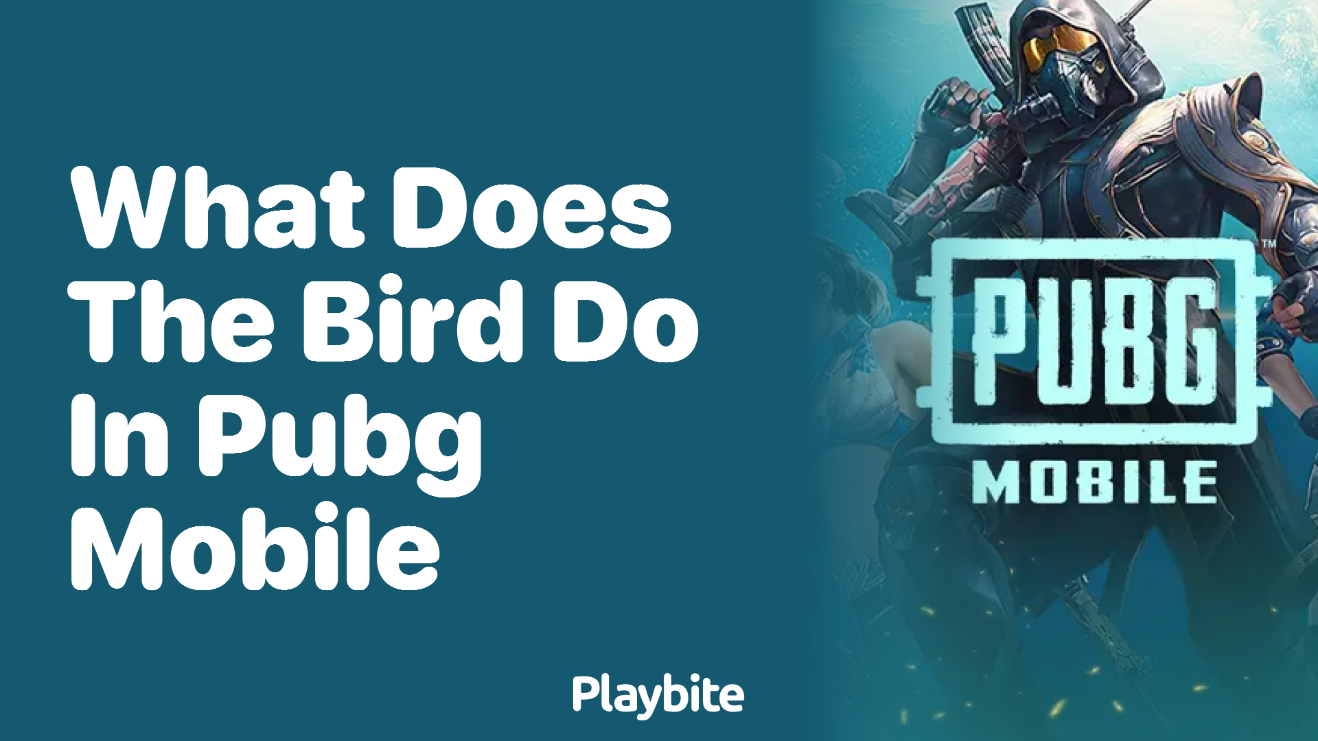 What Does the Bird Do in PUBG Mobile?