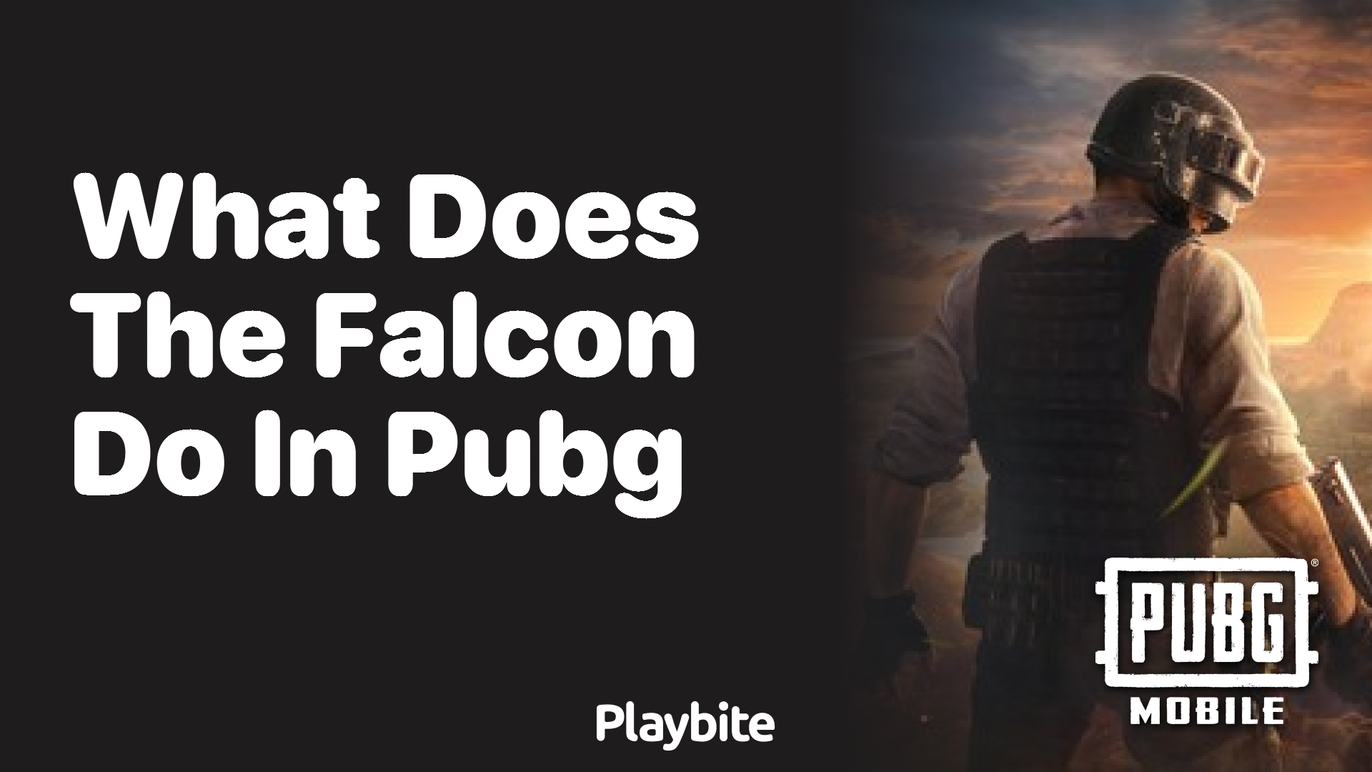 What Does the Falcon Do in PUBG Mobile?