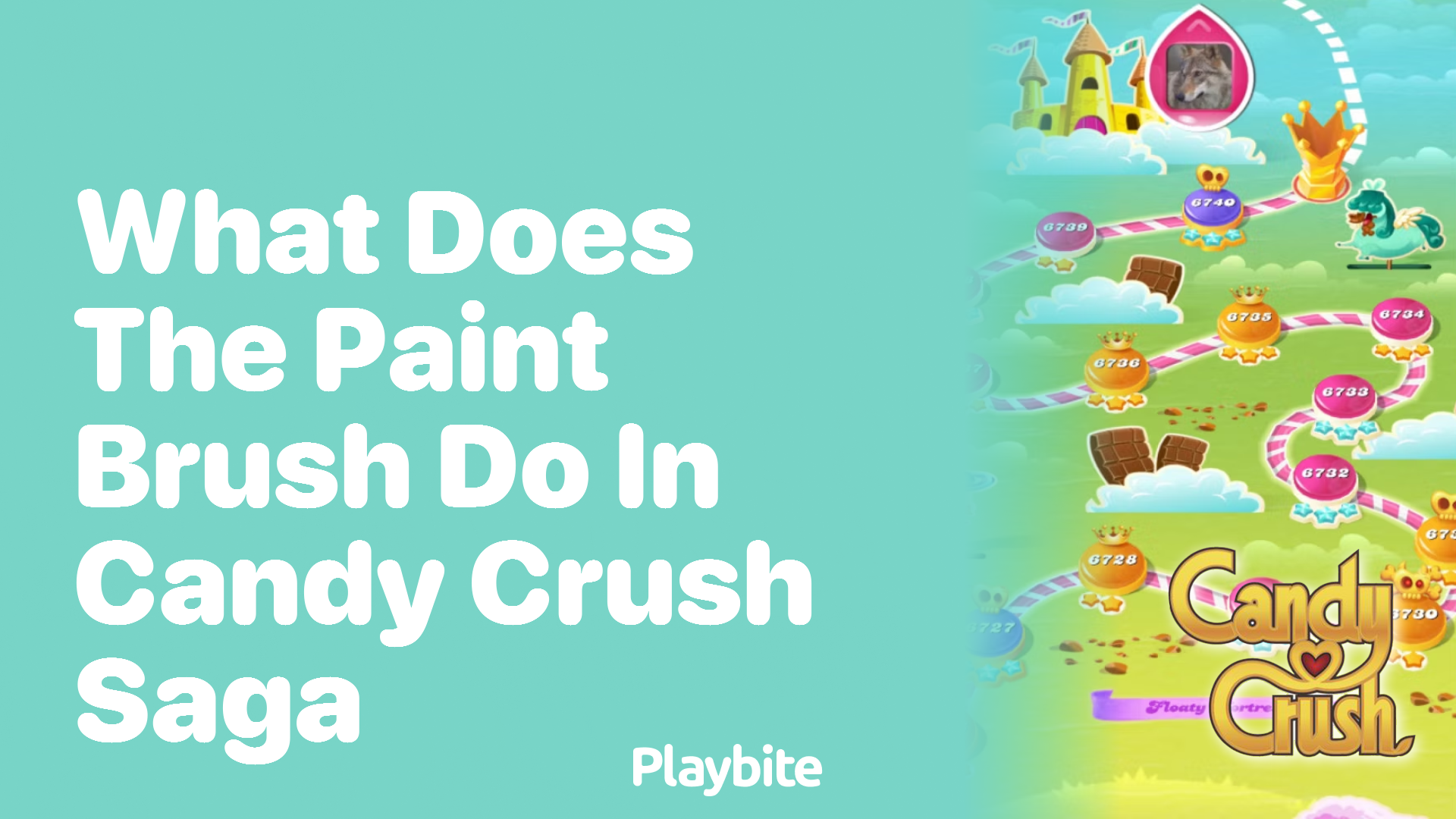 What Does the Paint Brush Do in Candy Crush Saga?