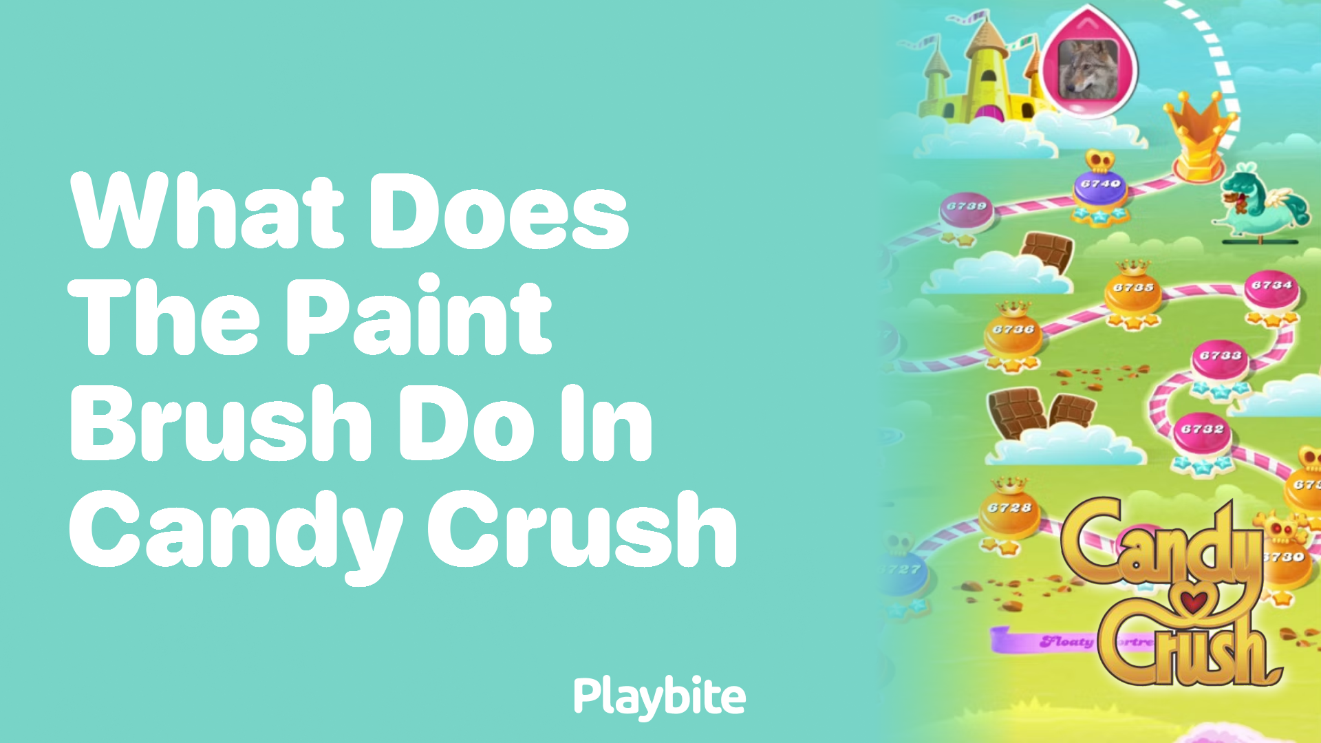 What Does the Paint Brush Do in Candy Crush?