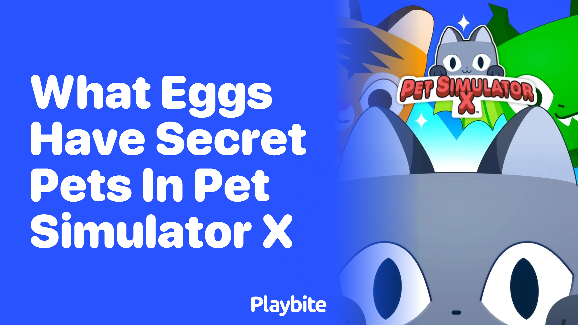 Discover Which Eggs Harbor Secret Pets in Pet Simulator X