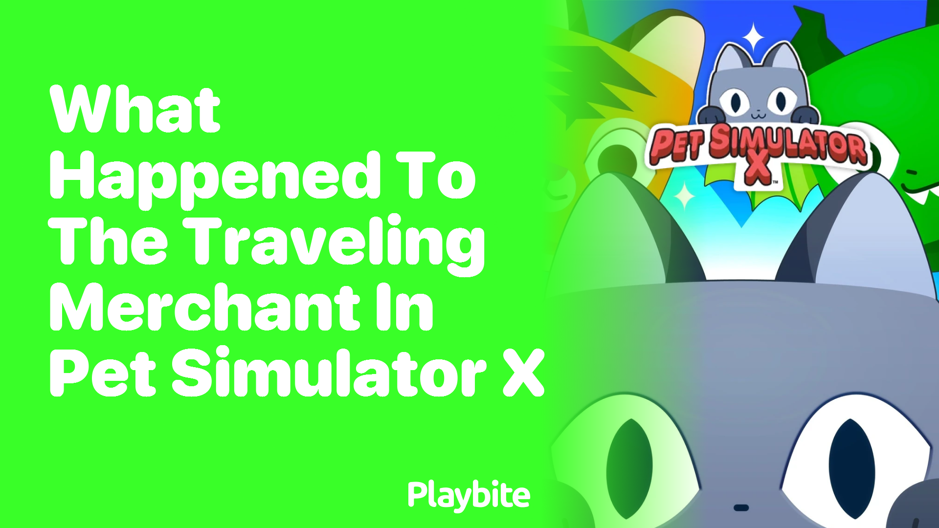 What Happened to the Traveling Merchant in Pet Simulator X?