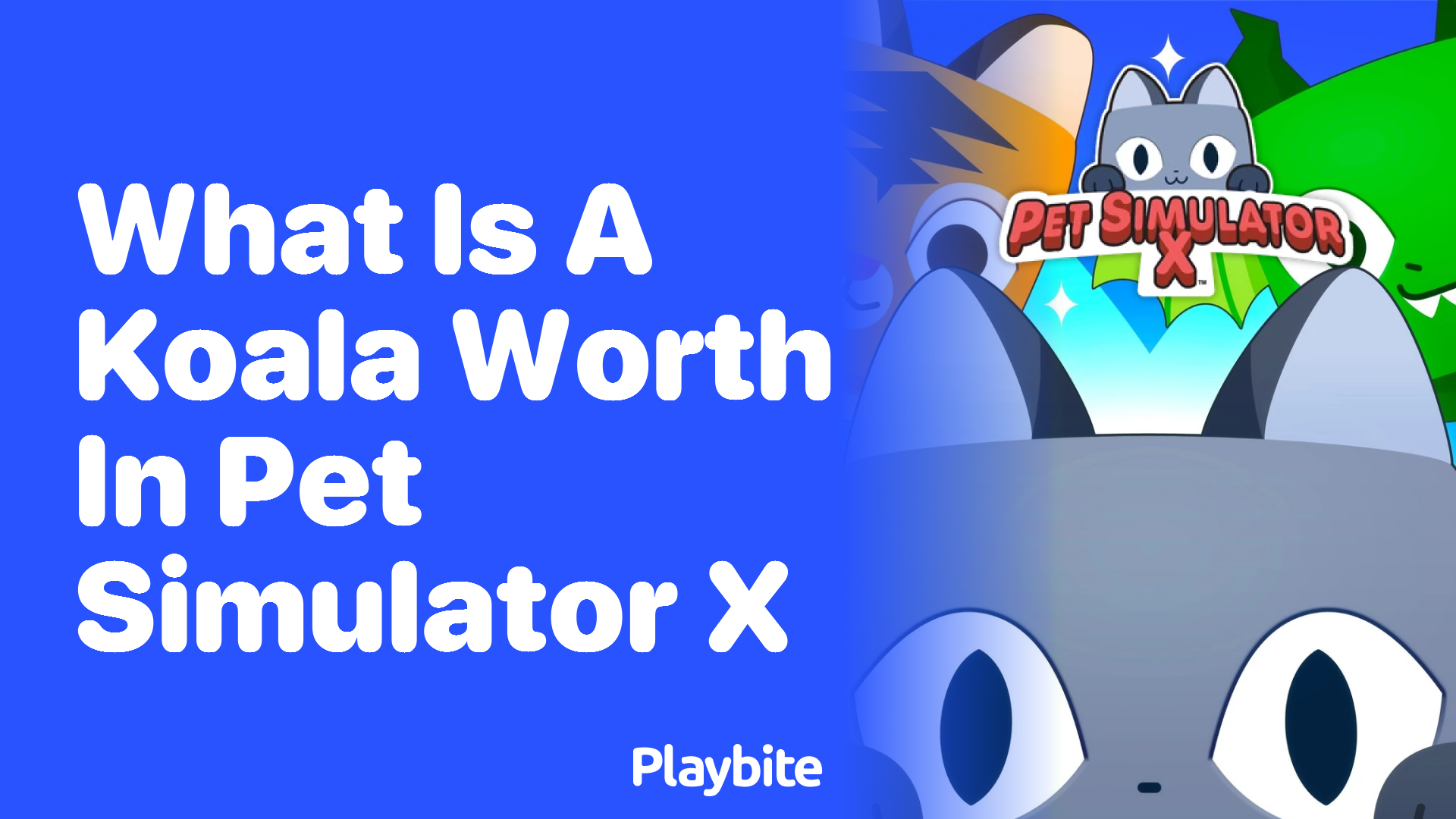 What is a Koala Worth in Pet Simulator X?