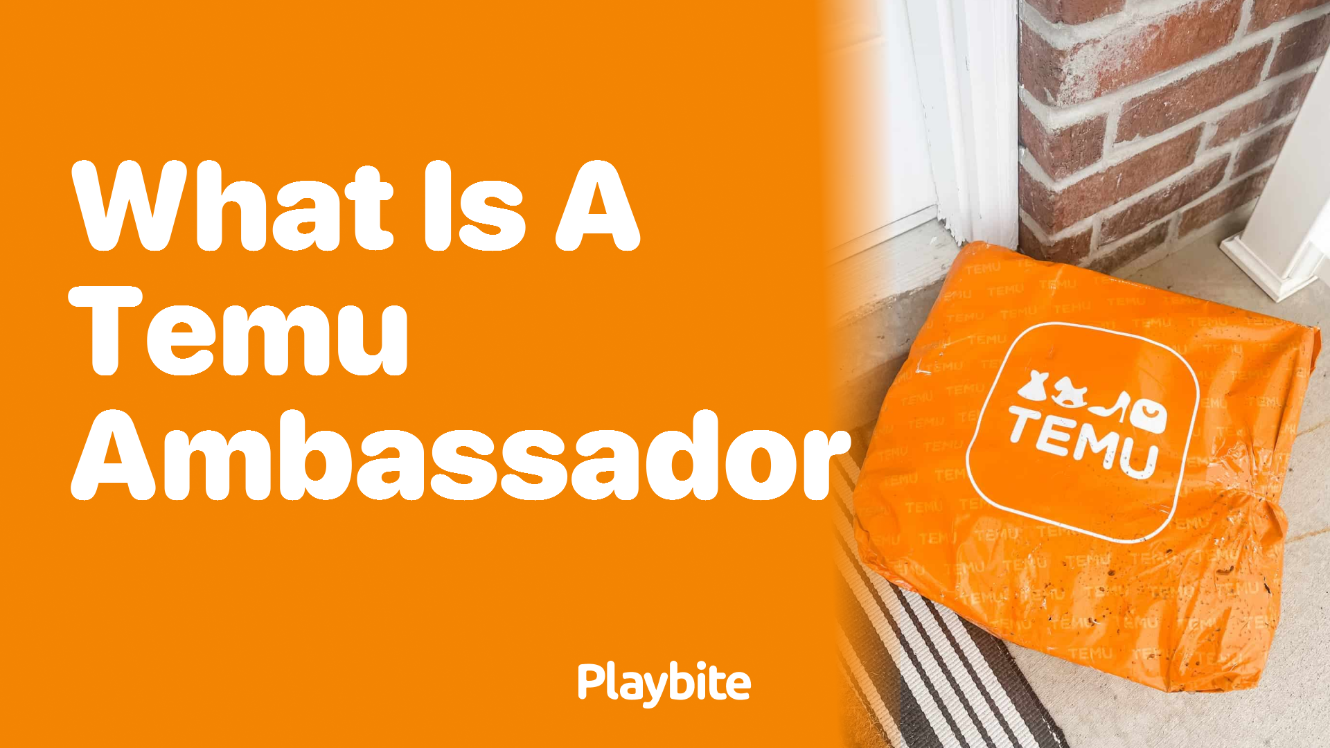 What is a Temu Ambassador?