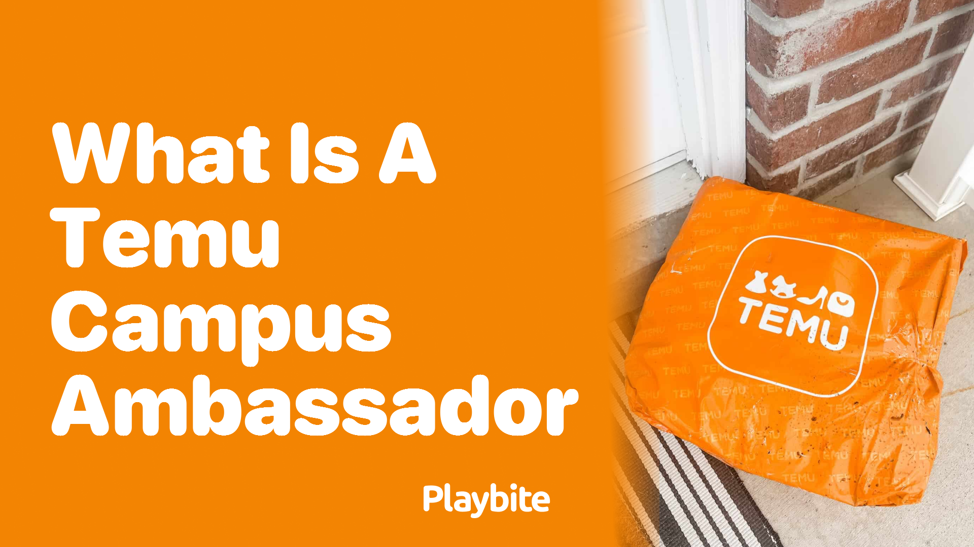 What is a Temu Campus Ambassador?