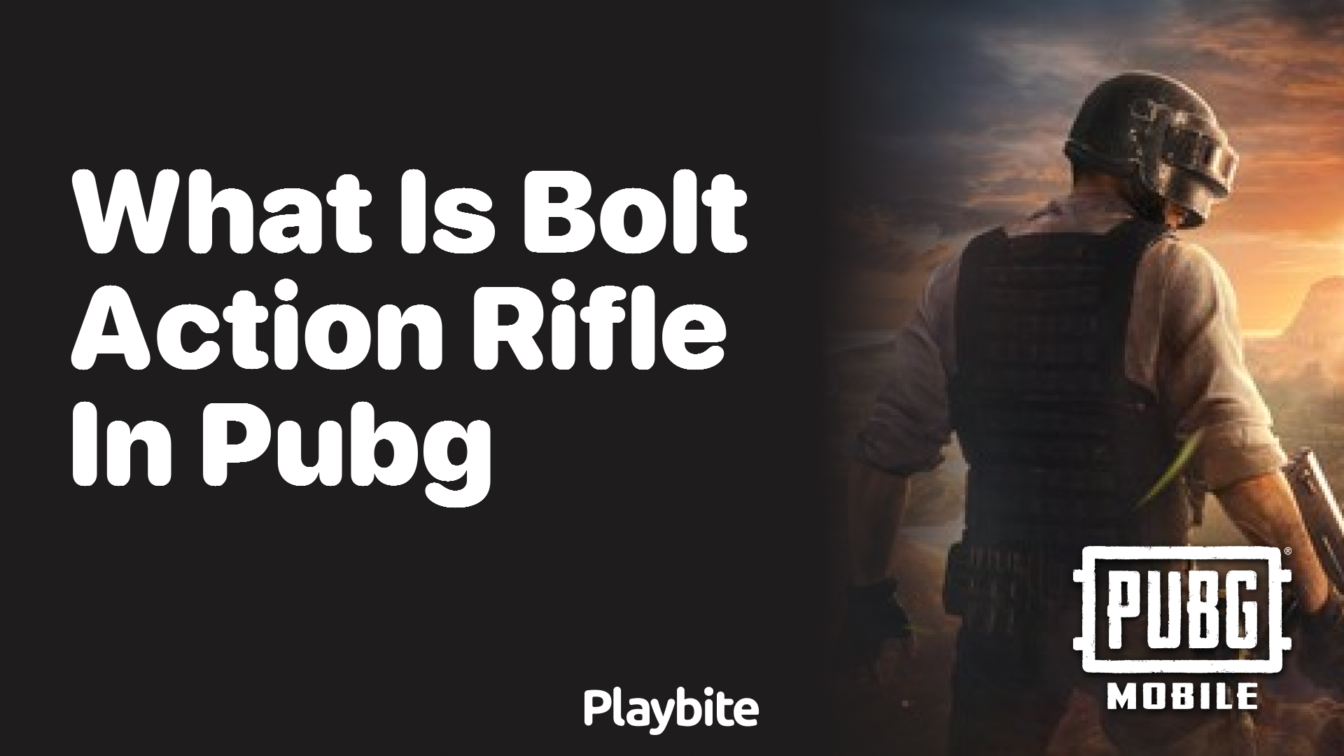 What is a Bolt Action Rifle in PUBG?