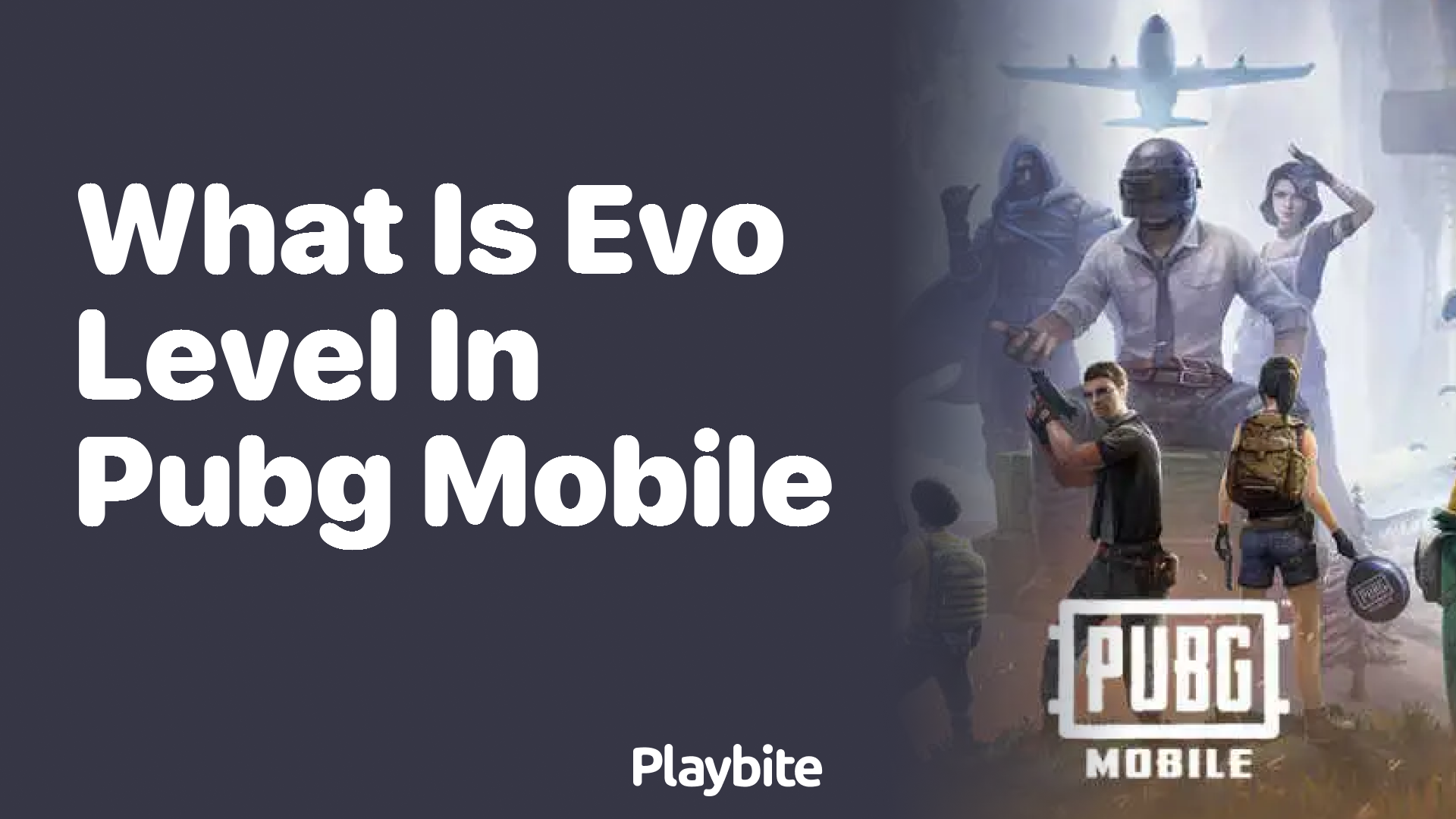 What is Evo Level in PUBG Mobile?